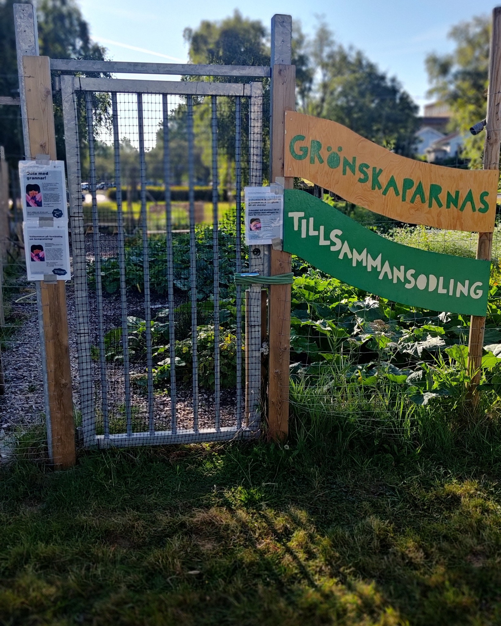 Inget att göra ikväll?
Kom på föreläsning om kompostering med Pontus på Grönskaparnas tillsammansodling i Lundby!