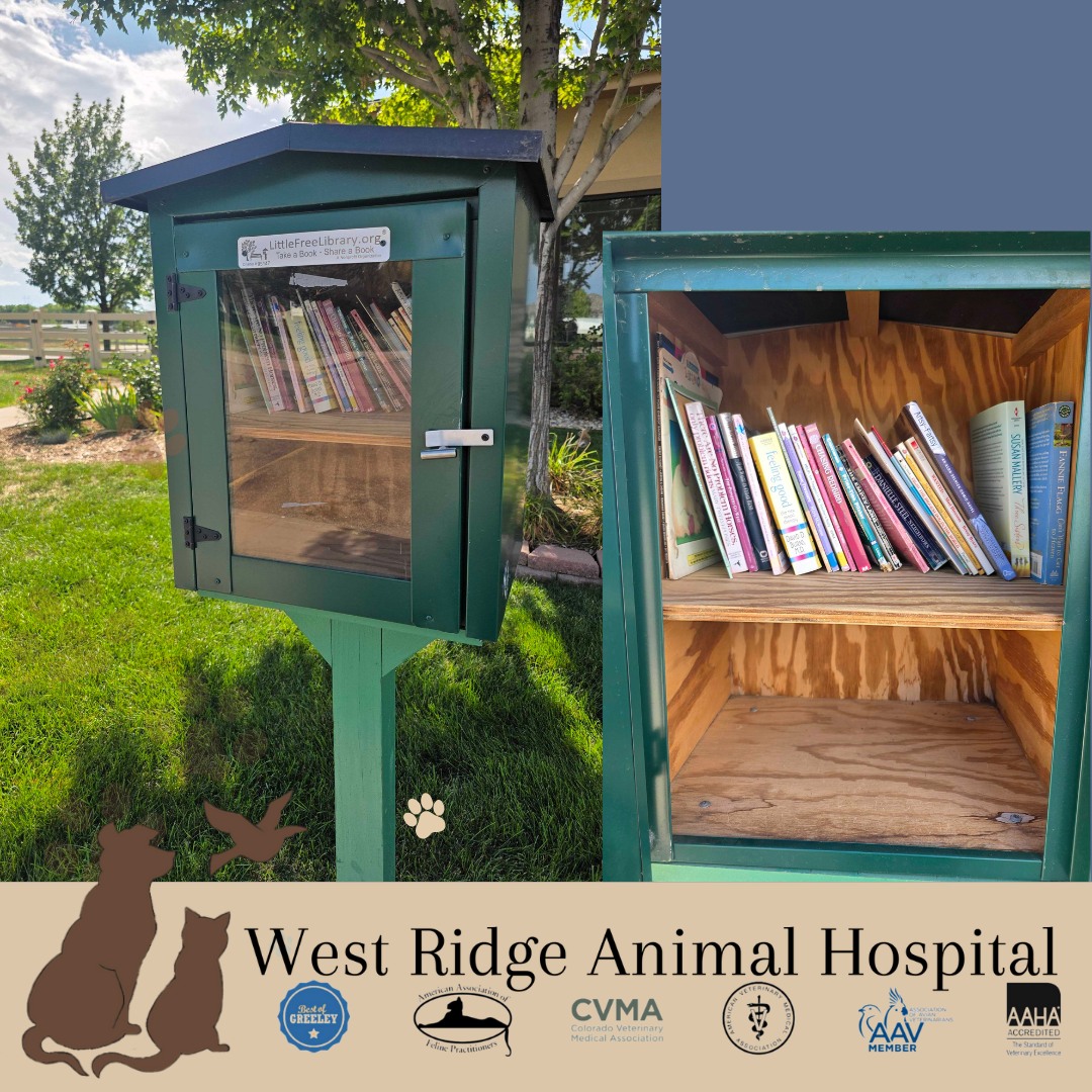 In honor of Dolly and her incredible commitment to childhood literacy, we are stocking our Little Free Library right outside the hospital today. ๐ธโจ
Dollyโs passion for reading opened up endless worlds for millions of children, and we want to keep that magic growing right here in our community. Access to stories should be simple, welcoming, and free for everyone.
How to take part:
๐ Take a Book: Browse our collection and take home a new story to enjoy!
๐ค Leave a Book: Have a favorite book your family has outgrown or finished? Drop it off to pass the magic on to the next reader.
โจ Support Access: Help us keep accessible reading available to all ages, all year long!
Stop by, swap a story, and help us celebrate the joy of reading. Letโs keep Dollyโs spirit alive, one book at a time! ๐๐พ
#LittleFreeLibrary #HonorDolly #DollyParton #ReadMoreBooks #WRAHFamily #PurrsAndPaws #GreeleyCO #GreeleyCommunity #BooksForAll