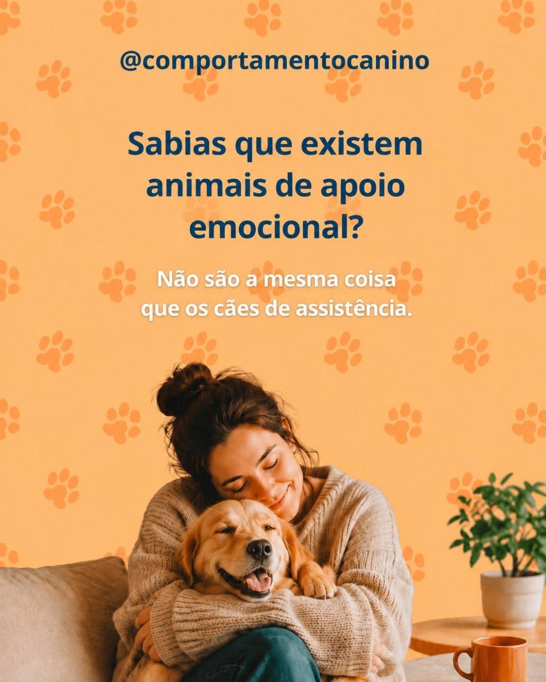 Quando pensamos em animais que ajudam pessoas com necessidades específicas, é habitual pensarmos nos cães de assistência. Mas existe também o conceito de animal de apoio emocional, que nem toda a gente conhece.
O seu principal papel é proporcionar companhia, conforto e segurança emocional através da relação com o seu tutor. Podem ser particularmente importantes para pessoas que enfrentam determinadas dificuldades de saúde mental.
Ao contrário do que muitos pensam, não têm de ser apenas cães. Um animal de apoio emocional pode ser um cão, um gato, um coelho, uma tartaruga ou outro animal, desde que a sua presença tenha um impacto positivo e significativo no bem-estar emocional da pessoa.
É importante distinguir um animal de apoio emocional de um cão de assistência. Um cão de assistência é treinado para realizar tarefas específicas relacionadas com a incapacidade do seu tutor, enquanto o apoio emocional está sobretudo relacionado com a presença, a companhia e o vínculo com o animal.
Em alguns casos, a necessidade de um animal de apoio emocional pode ser reconhecida por um médico ou outro profissional de saúde. No entanto, isso não lhe confere automaticamente os mesmos direitos de acesso a locais públicos que um cão de assistência, uma vez que a legislação é diferente.
❤️ A relação que construímos com os nossos animais pode ter um impacto muito especial na nossa vida.
E tu, já conhecias o conceito de animal de apoio emocional? 👇