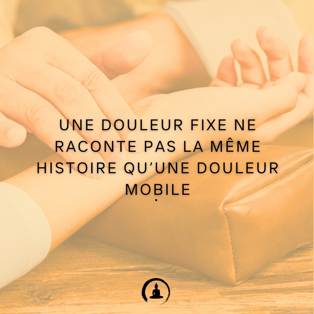 Une douleur fixe ne raconte pas la même histoire qu’une douleur mobile.
📍 Douleur fixe
→ quelque chose bloque
→ stagnation plus localisée
→ penser notamment au Sang selon les autres signes
🌬️ Douleur mobile
→ quelque chose se déplace
→ dynamique plus changeante
→ le Vent peut entrer dans la lecture
La douleur ne nous indique pas seulement où regarder.
Elle nous indique aussi comment le trouble se comporte.
Localisation + qualité + dynamique = une lecture beaucoup plus précise.
📍 Cabinet Zen Garden - Carouge
🔹 Acupuncture | Fasciathérapie | Thérapies énergétiques
🔹 Approche holistique pour harmoniser corps & esprit
🔹 Prenez soin de votre santé naturellement
📲 RDV & infos sur 👉 www.cabinet-zengarden.org
💬 Vous avez déjà essayé la Médecine Chinoise ?
Dites-moi en commentaire ! ⬇️
#MédecineChinoise #Acupuncture #Fasciathérapie #BienÊtreNaturel #ZenGarden #Carouge #SantéHolistique #ÉnergieVitale
#MedecineChinoise #TCM #Qi #Fascia #Acupuncture #SantéNaturelle #Geneve #Suisse