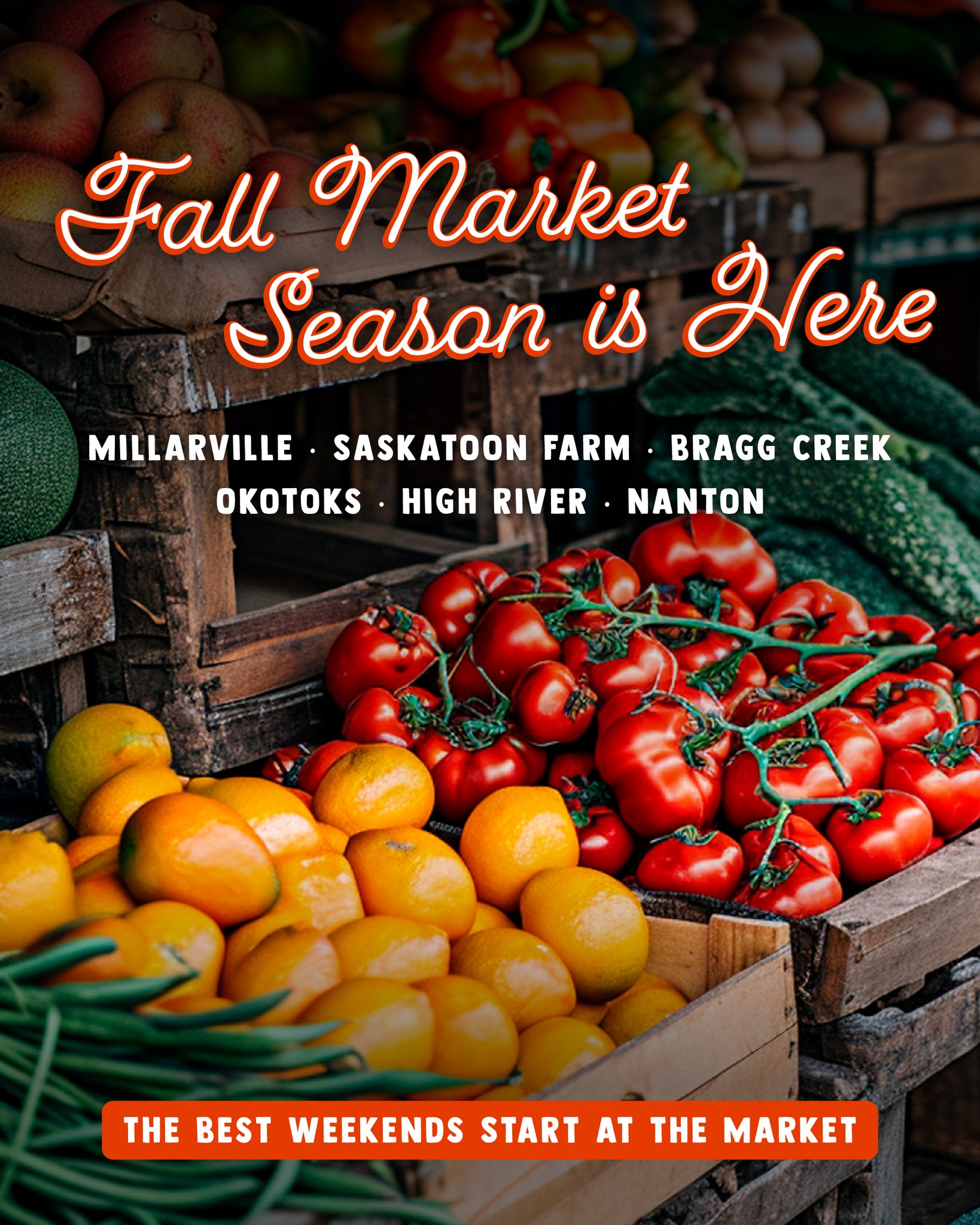 Fall market season beats every other season, change our minds.
Millarville, Saskatoon Farm, Bragg Creek, Okotoks, and High River have you covered this September, plus Nanton's Street Market Fall Harvest Market on October 3.
Grab a basket and go explore.