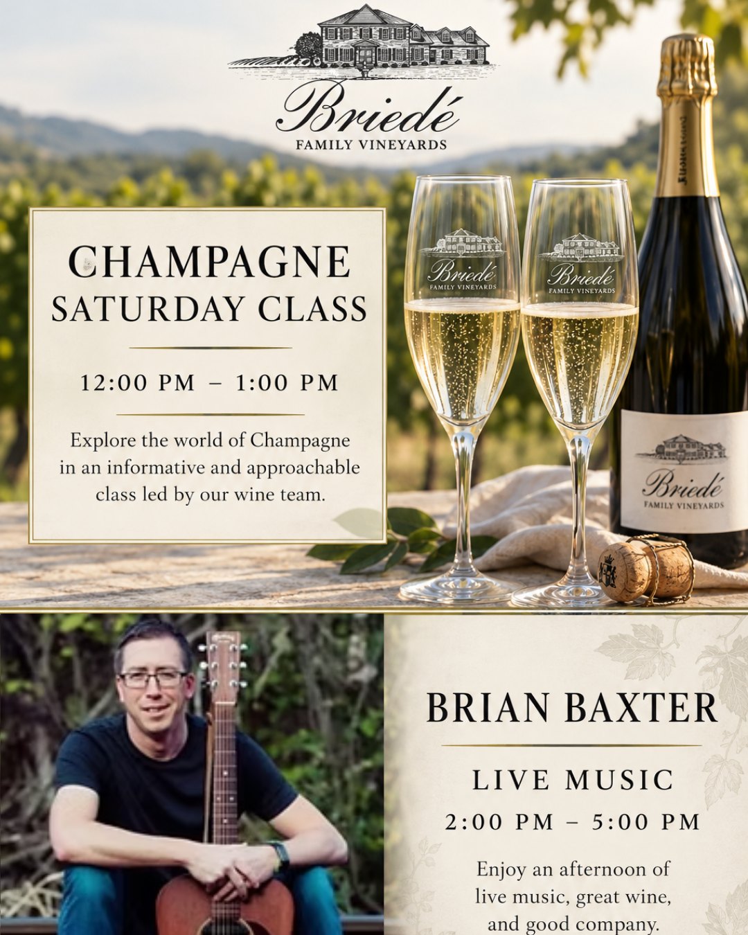 Make a Saturday of it at Briedé Family Vineyards.
Start the afternoon with our Champagne Saturday Class from 12–1 PM, then settle in with a glass of wine and live music from Brian Baxter from 2–5 PM.
Good wine, live music, and plenty of time to relax at the vineyard.
#BriedeFamilyVineyards #WinchesterVA #ShenandoahValleyWine #VirginiaWine #VirginiaWineries #WineCountry
