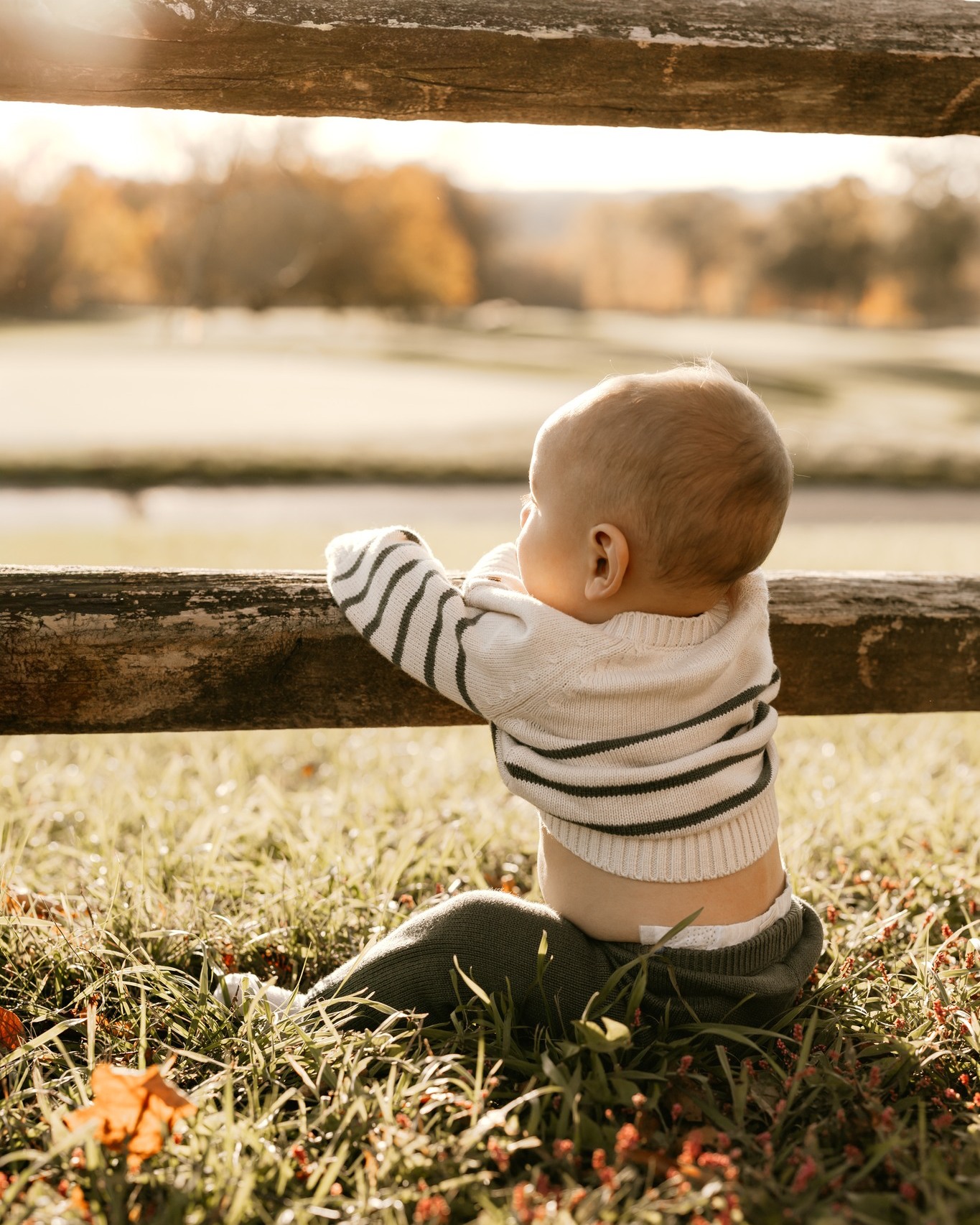 Hello, September 🍂
Fall sessions are here and one of my favorite seasons to photograph is about to begin 🤎
My fall calendar is filling up, so reach out if you’ve been thinking about getting a session on the books!
.
.
.
CT Family Photographer | Fairfield County, CT Family Photographer | Family Photographer in Connecticut
#inperspectivephotography #familyphotographerct #connecticutmoms #ConnecticutFamilies #FairfieldCountyMoms #CTPhotographer