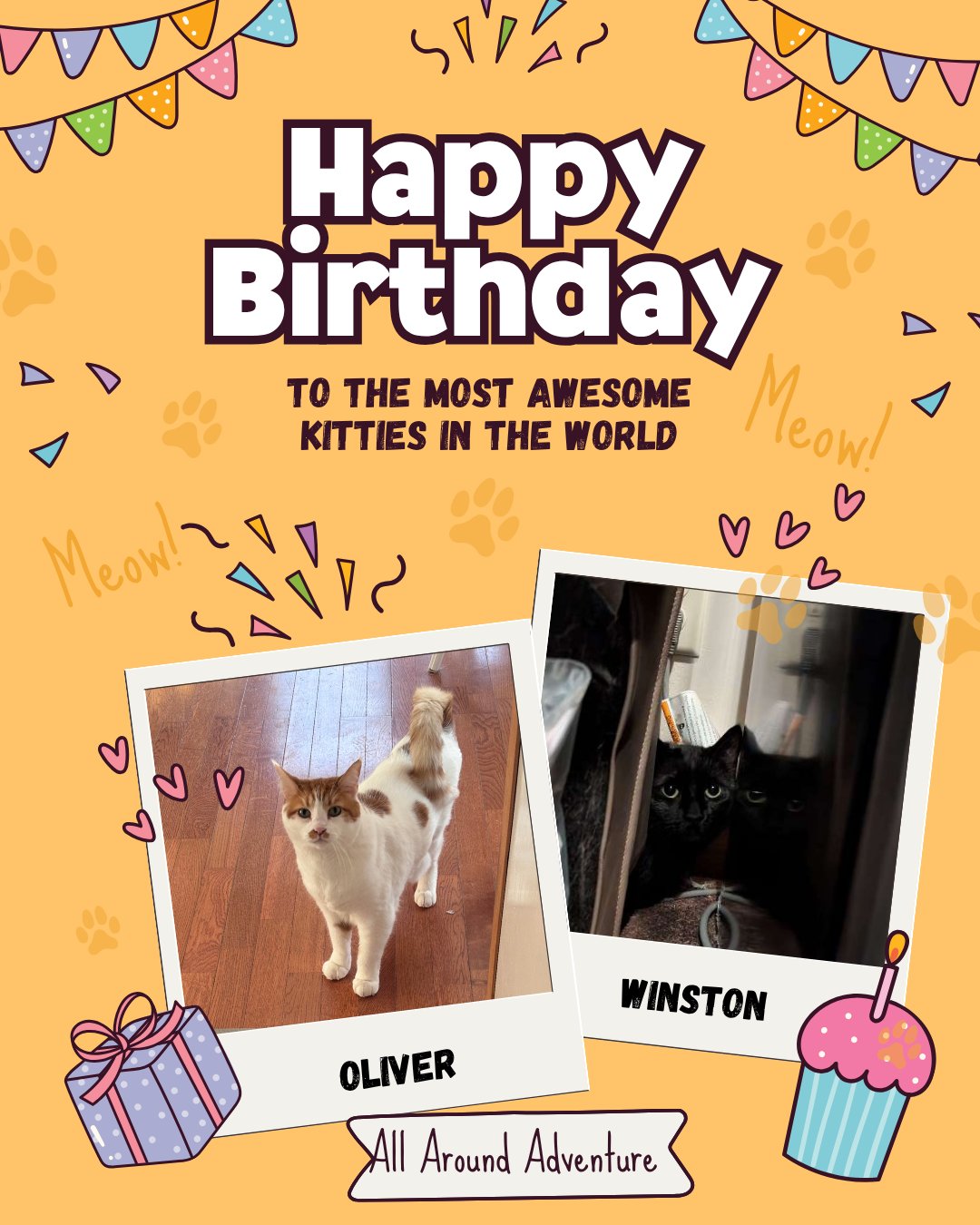 Happy birthday to two of our favorite kitties. Oliver and Winston are just some of the birthday best friends we have.
What are some of your favorite things you love to do with your pets on their birthday?
Need some help excersing your dog🐶, or do you have a pet that needs to be checked in on, let outside, or fed? Give us a call, email or message to schedule a
meet and greet today!🐠🐰🐱
.
.
.
#canine #missoula #dogsofinstaworld #montana #dogsofmissoula #dogwalker #allaroundadventures #PetSitting #PetCare #AllAroundAdventures #petsitting #HappyPets #optoutside #animalovers #newadventure