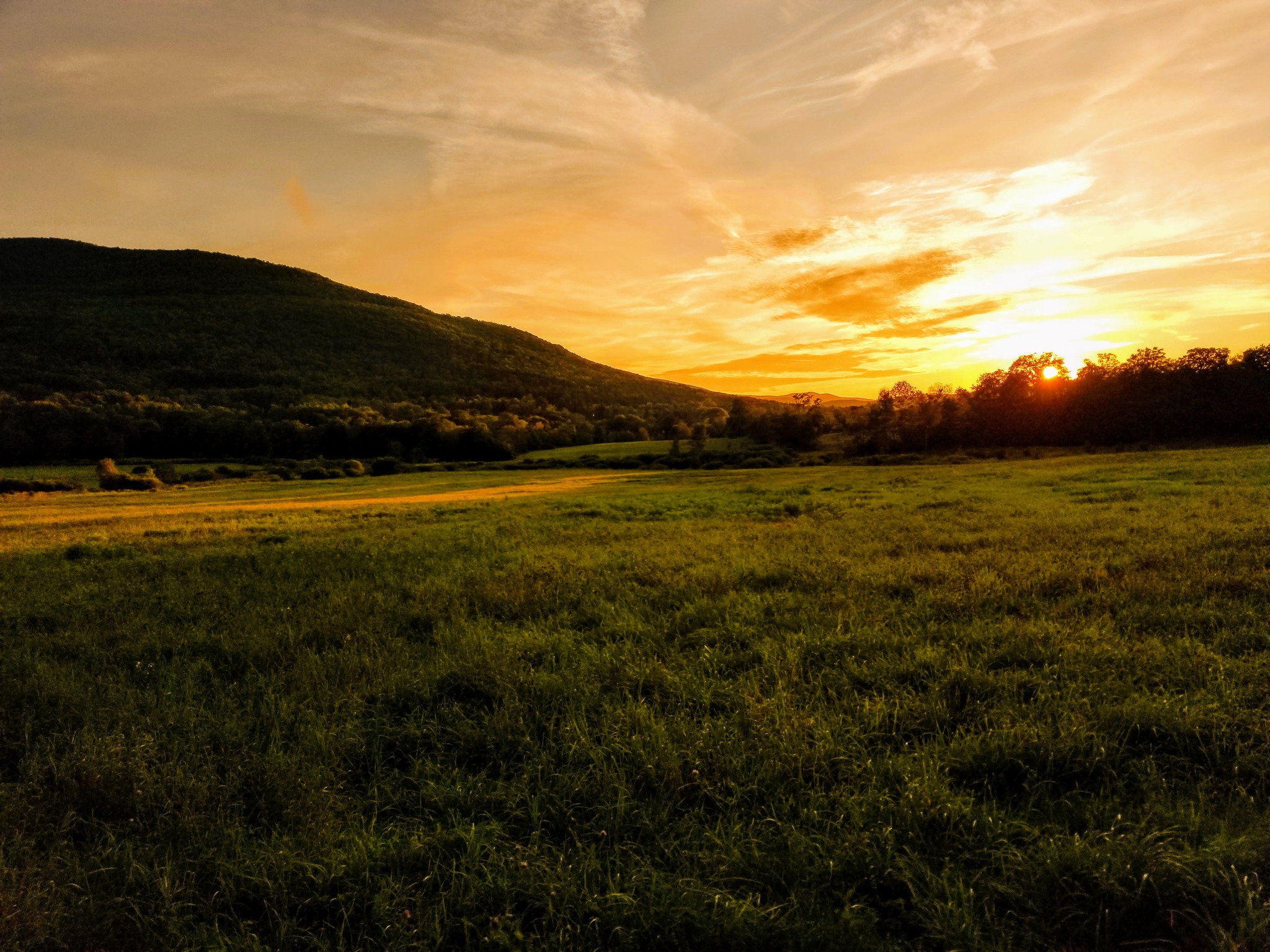 The Windham Path: this 1.5-mile loop is one of the best places to stretch your legs, clear your head, or catch the sunset over the Catskills.