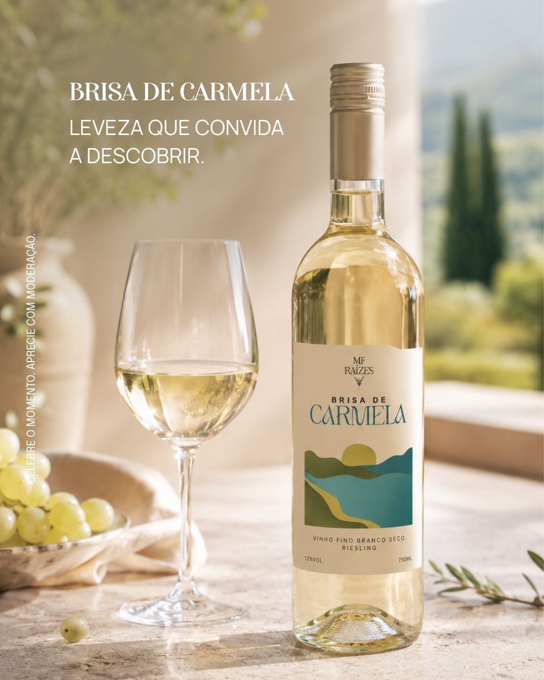 Há vinhos que revelam sua personalidade aos poucos.
O Brisa de Carmela, elaborado com Riesling, traz uma expressão leve e refrescante, ideal para quem aprecia vinhos que convidam a novas descobertas.
Um rótulo para degustar com atenção e deixar que cada gole revele sua própria expressão.
Encontre o Brisa de Carmela em mascaradeferro.com.br/loja (link na bio).
#MascaraDeFerro #MFRaizes #BrisaDeCarmela #Riesling #VinhosBrasileiros #VinhoBranco