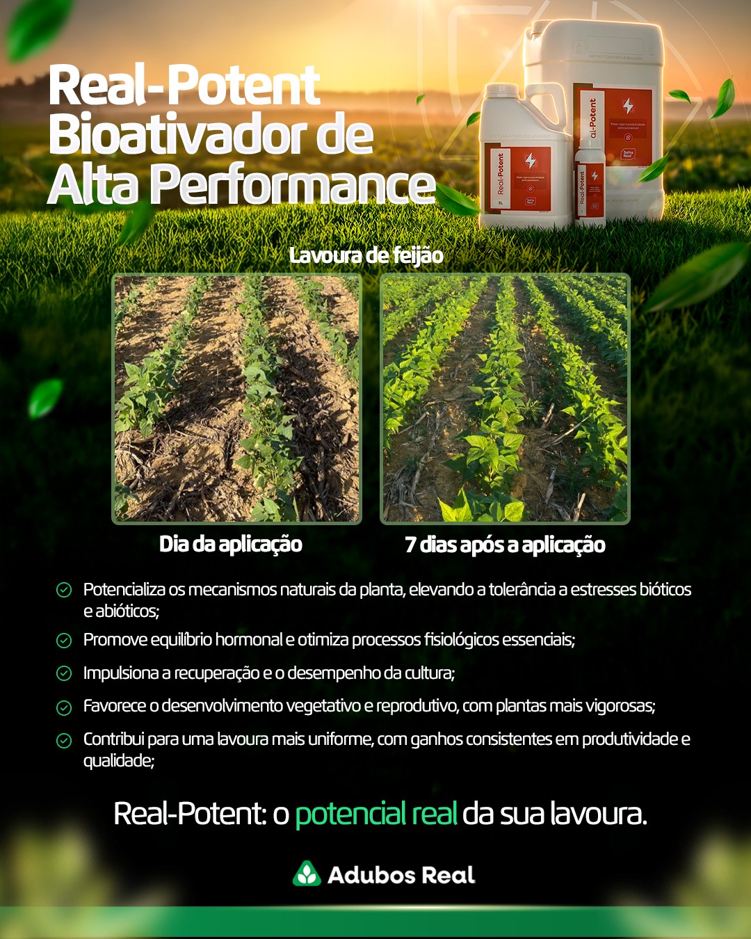 Resultado no campo começa com uma planta mais preparada. 🌱
O Real-Potent atua no equilíbrio fisiológico e na resposta das plantas aos estresses, contribuindo para mais vigor e desempenho da lavoura.
E durante a Semana do Cliente Real, essa tecnologia te dá chances de concorrer a um brinde especial!
De 14 a 18 de setembro em todas as lojas Adubos Real.
👉 Acesse o link da bio e veja a loja mais próxima de você.
#SemanaDoClienteReal #RealPotent #Bioativador #AdubosReal #ManejoAgrícola