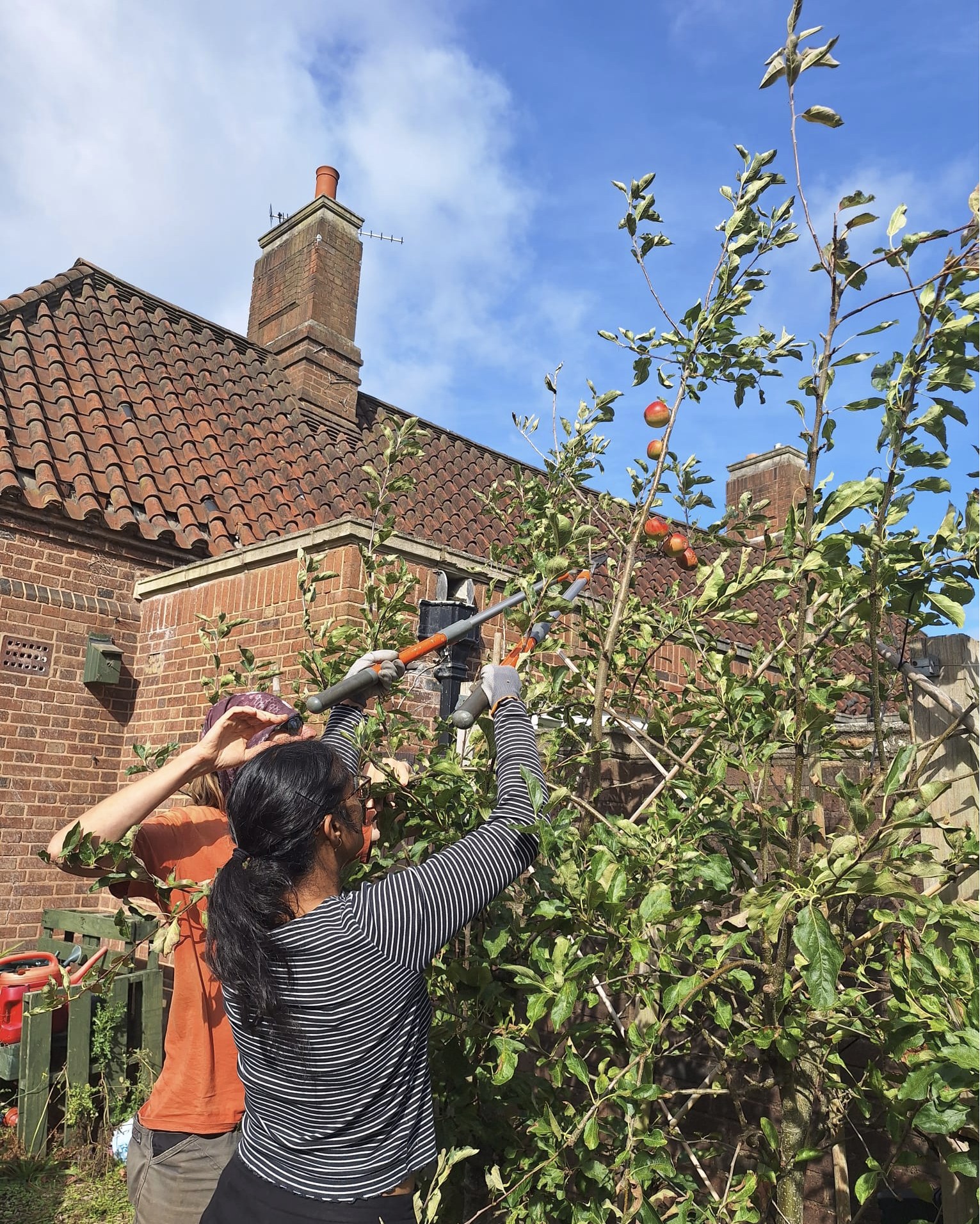 We've visited #GrowWithJoe at @unibirmingham this week with @uobconservation, to prune the unruly #TrainedFruit trees, and had a great time doing it!
