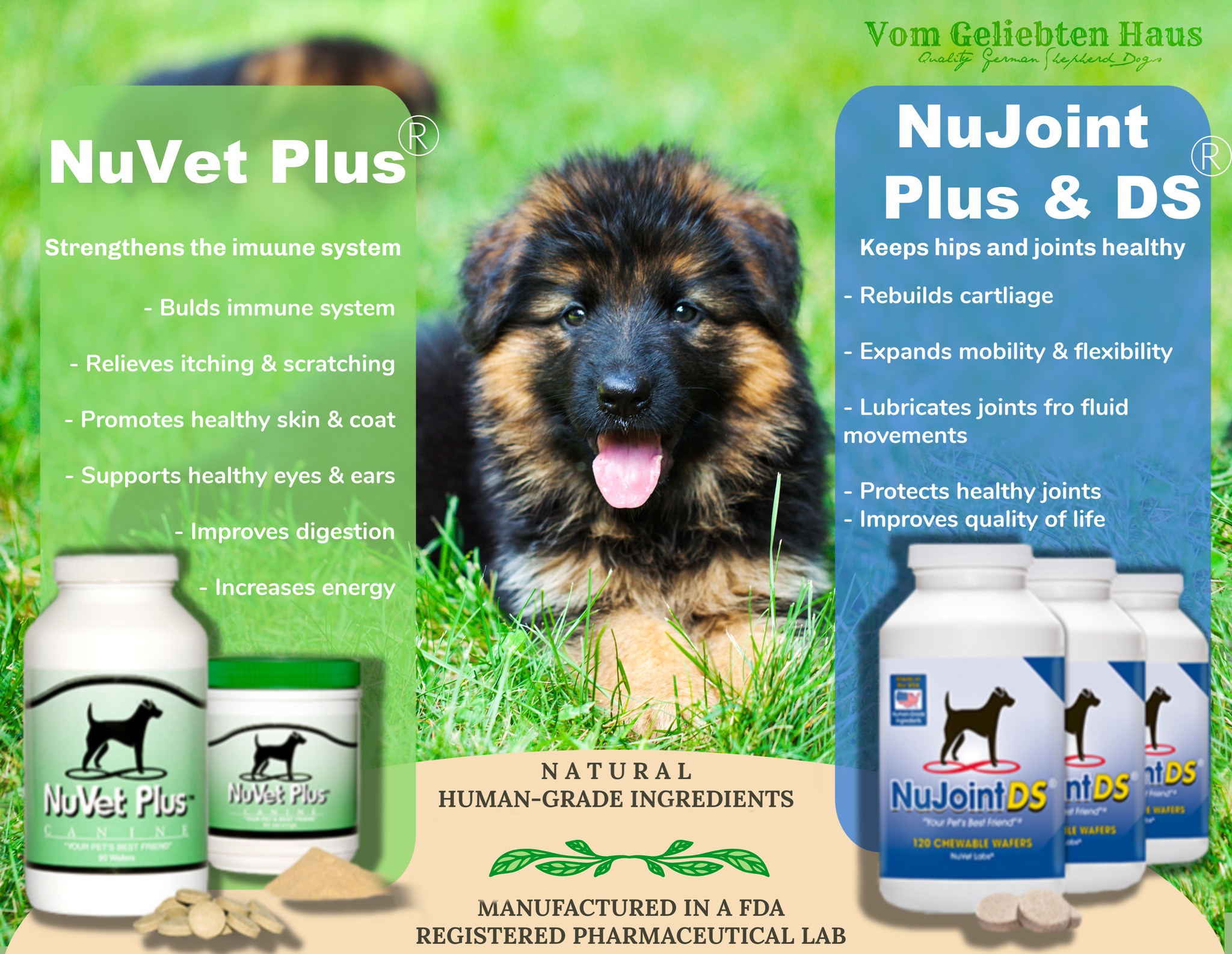 A Simple Addition to Their Daily Routine
A complete and balanced diet is the foundation, but we also choose targeted nutritional support for our dogs.
NuVet Plus is easy to give once daily and provides a blend of vitamins, minerals, amino acids, enzymes, herbs, and antioxidants. Our dogs enjoy the wafers like treats, and a powder is also available for dogs who prefer it mixed with food.
We use it, we love it, and we are comfortable recommending it to our puppy families and other dog owners.
Order at nuvet.com/83752.
Referral code: 83752
#NuVetPlus #DailyDogCare #CanineWellness #VomGeliebtenHaus
