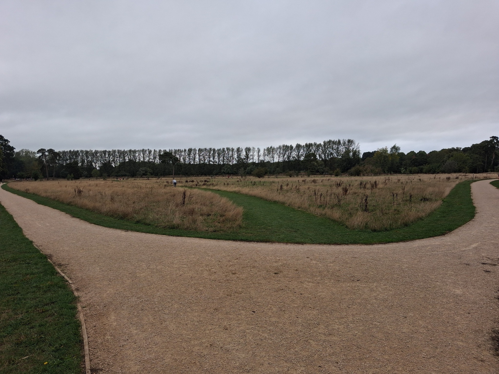 The view from Marshall point 2 @ #Parkrun this morning!