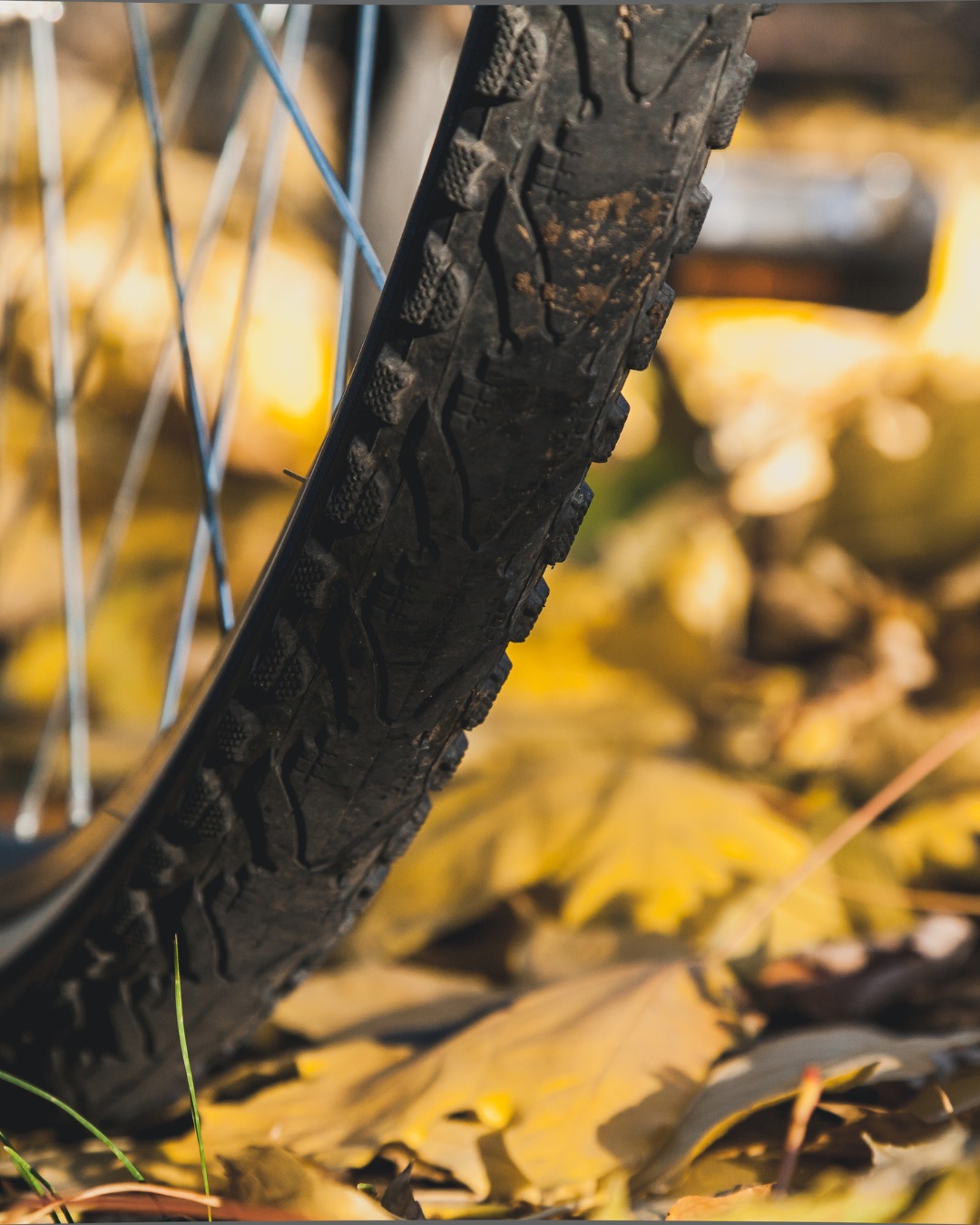 Get out there and enjoy Fall! Ask us about gear, apparel, and rentals.
Whether you're visiting for a day or the season, we’ve got high-quality gear and friendly service waiting.