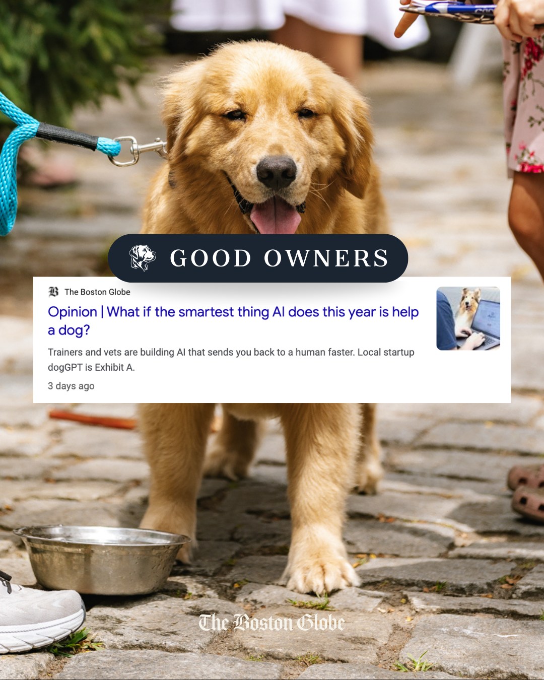 Client win: Good Owners in The Boston Globe. 📰🐾
Good Owners was recently featured in The Boston Globe in a story about dogGPT, their AI-powered tool built from the knowledge behind The Good Owners Guide to Dogs.
The Guide brings together more than 600 topics covering everything from training and behavior to grooming, enrichment, and everyday dog parenting, with expertise from leading trainers and scientists. dogGPT takes that foundation and makes it easier for dog owners to get answers when they need them.
We’ve been helping Good Owners bring the Guide to more dog parents, so it’s especially exciting to see the work getting this kind of recognition.
Read the full story in The Boston Globe.
Marketing for #BlueSevenClient | @goodowners_rcoc