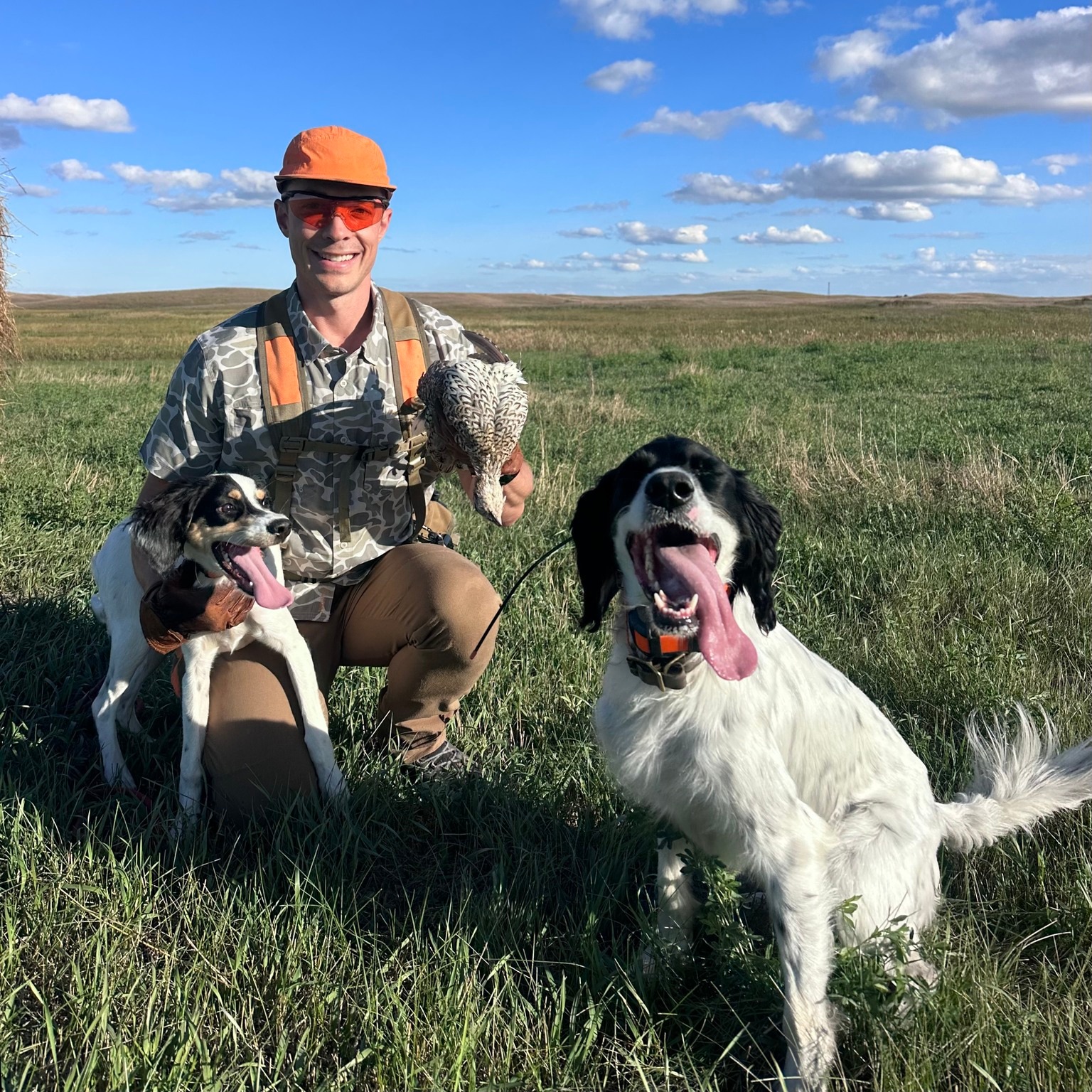 I almost passed up a cut hayfield that turned into one of the best puppy walks of our prairie trip. Having Hazel along changed where I wanted to hunt, and I came home with plenty to think about. This week, I'm back behind the mic for a solo prairie recap and a look at her first sharptail hunts. 🎙️ #359
💥 What the roadside view can miss about prairie cover
💥 A cut hayfield, an older dog's point, and a puppy carrying her first sharptail
💥 Staying connected with a young bird dog as she starts to range
💥 Wind, missed birds, and memories of Hartley
🤝 Supported by: @upland_gun_company , @final.rise , and @irishsetterboots
🎧 Link in bio to listen
📍 Available on Spotify and Apple Podcasts
#uplandhunting #birddogs #setterpuppy #pointingdog #birdshotpodcast