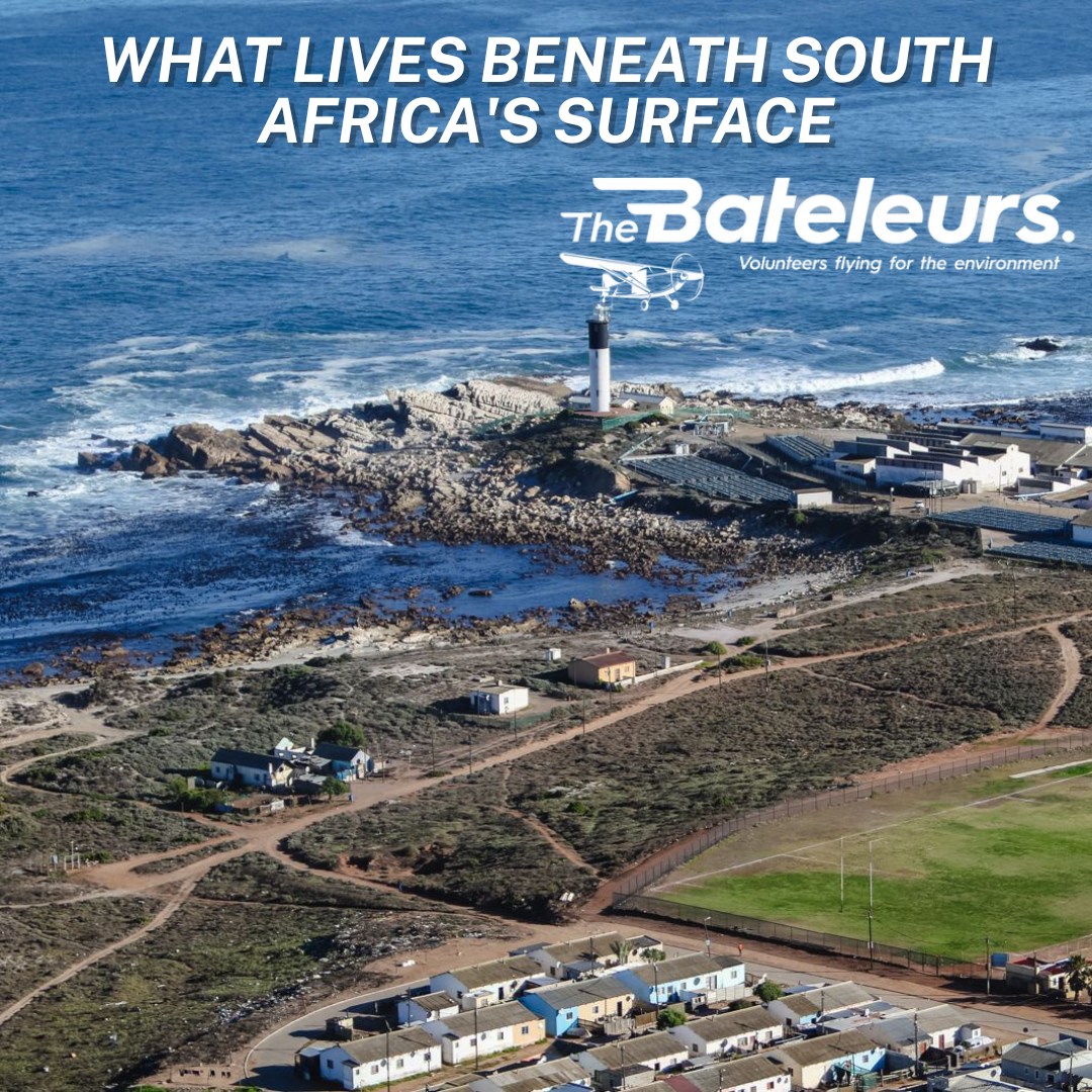 South Africa's oceans are home to humpback whales, southern right whales, Bottlenose dolphins, common dolphins, great whites, and whale sharks, some of the richest marine megafauna diversity on Earth.
And they're all under pressure.
The Bateleurs fly offshore and coastal monitoring missions, supporting marine conservation researchers who track these populations from the air, covering in minutes what a boat would take days to survey.
From altitude, you can see a dolphin superpod stretching for kilometres. You can see a whale shark turning in the current. You can see the ocean's health or its decline.
🔗 bateleurs.org
#WorldDolphinDay #DolphinDay #MarineMegafauna #TheBateleurs #OceanConservation #SouthAfrica #MarineSurvey #TwoOceansAquarium #SANCCOB
