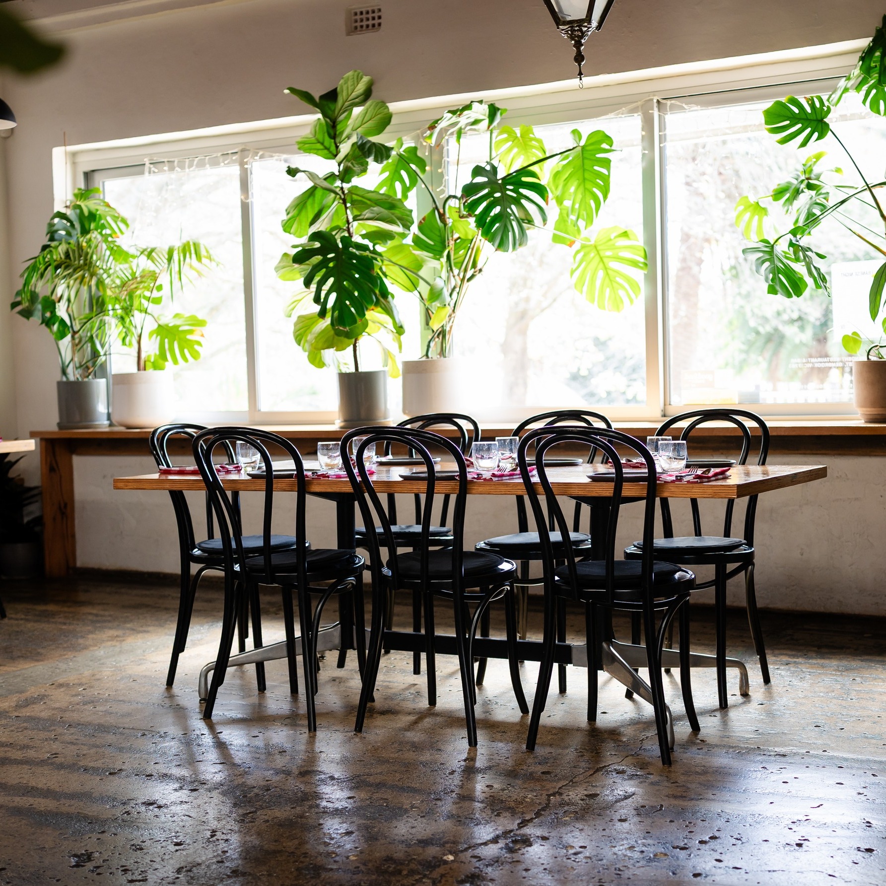 Make an afternoon of it.
From 12pm Friday to Sunday, enjoy food and drinks at your own pace — we stay open throughout the afternoon.
Bookings are strongly recommended, but walk - ins are welcomed
#theindependentgembrook #weekends #lunchideas #daytrip