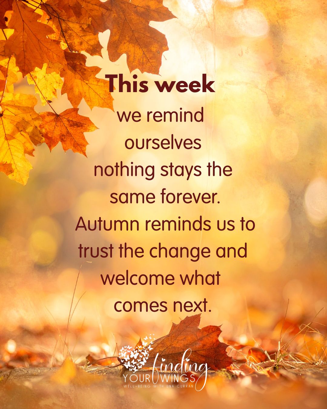 September can bring so many new beginnings.
For some children, it is their very first days at school. For others, it is a new teacher, a new classroom or simply finding their feet again after the summer.
And for many young adults, this season brings an even bigger step — beginning an apprenticeship, starting college or university, moving away from home, meeting new people and learning to navigate a whole new chapter of life.
Change can be exciting, but it can also feel uncertain, overwhelming or emotional.
Sometimes the best support we can offer is not to take those feelings away, but to remind our children and young people that they do not need to have everything figured out straight away.
New beginnings take time.
Confidence grows slowly.
And just like autumn, change can bring something beautiful that we could not yet see coming.
Here’s to trusting the next chapter, one day at a time.
#FindingYourWings #NewBeginnings #AutumnReflections #BackToSchool #StartingSchool #CollegeLife #UniversityLife #Apprenticeships #YoungAdults #ChildrensWellbeing #TeenWellbeing #EmotionalWellbeing #ChangeAndGrowth #TrustTheJourney
