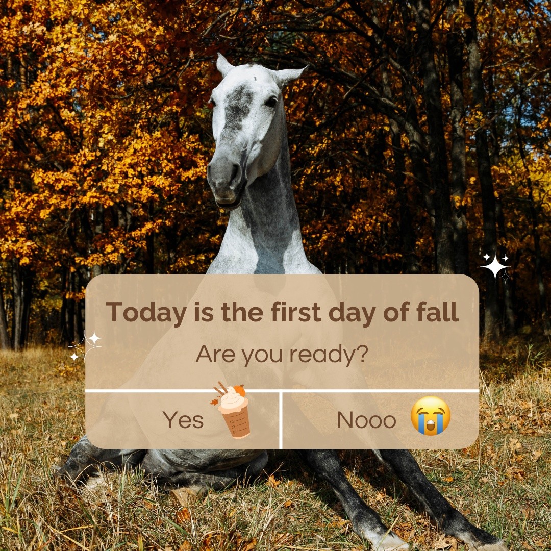 Break out the pumpkin spice lattes - happy first day of fall! What will you be doing to celebrate the changing of the seasons?
#TacomaEquineHospital #FirstDayOfFall #ChangingSeasons