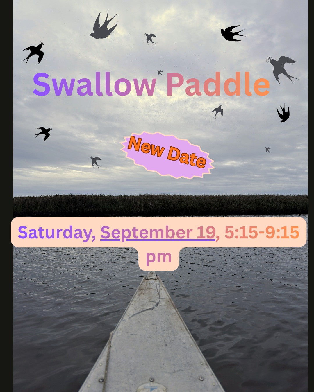 Don't miss it! Sign up here: https://www.ehlt.org/swallows
Postponed from last week due to weather.