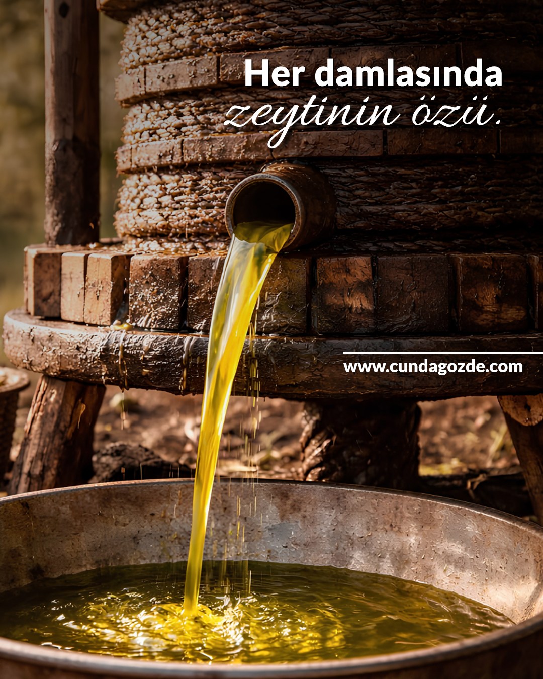 Ege'nin zeytin bahçelerinden özenle toplanan taneler, geleneksel taş baskı yöntemleriyle, doğanın bize sunduğu en saf ve doğal haliyle işleniyor.🌿
#Cunda #ızgarazeytin #YöreselÜrünler #CundaGözeZeytincilik #zeytinyağ