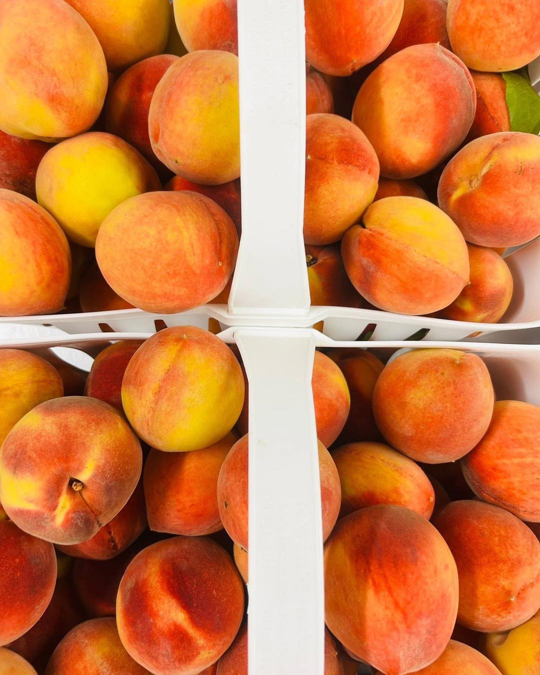 🍑LAST CALL SEASONAL PEACH ITEMS! Enjoy our Peachy Keen Pizza & Peach Salad while supplies last!
🍑Peachy Keen Pizza! Sweet local peaches, savory prosciutto, and feta cheese, finished with balsamic glaze, fresh basil, and our own spicy honey! Available on regular or gluten free crust!
🍑Peach Salad! Sliced local peaches, candied ginger goat cheese medallions, citrus candied pecans, red onion, organic baby spinach, and peach ginger vinaigrette!
🍎Apple season starts next Tue (9/15)!
#peach #pizza #salad #greenville360 #greenvillesc #offthegridgreenville