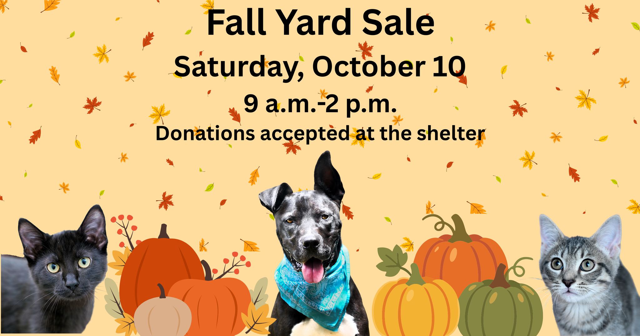 Rescheduled for October 17th due to rain forecast.
We are accepting donations for our upcoming yard sale. We would appreciate any household, office, kid, or pet related items that are in good condition. We will not be accepting any clothing items. If you have large items, please call to confirm that we can accept it ahead of time.
Donations are tax deductible and can be dropped off during our business hours. Come and shop for a cause. Thank you!!