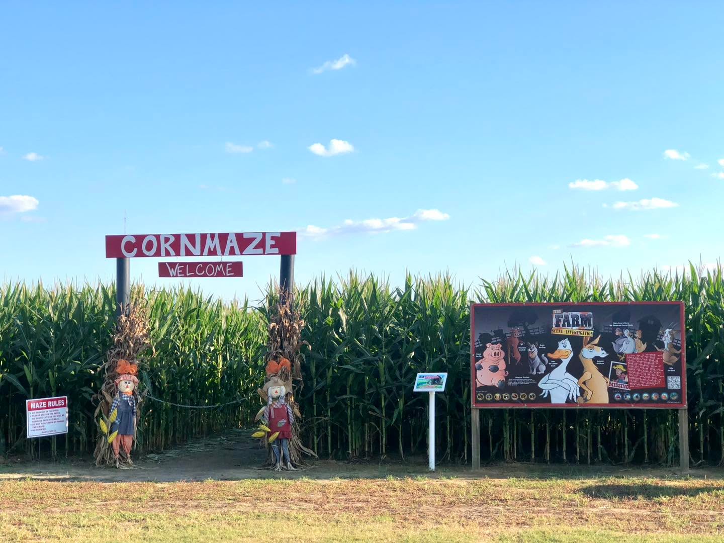 🌽🔎 WHO’S READY TO GET LOST IN THE CORN MAZE?! 🔎🌽
But this year… there’s more than just corn waiting for you! 👀
🚨 FARM SCENE INVESTIGATION: THE CASE OF THE MISSING FARMER JOE! 🚨
Farmer Joe is MISSING! 😱👨🌾
Your mission? 🕵️♀️🕵️♂️
Make your way through the corn maze, find the clues, solve the mystery, and help us bring Farmer Joe back to the farm! 🌽🔍
Will you crack the case? Or will you get lost in the maze forever? 👀😂
🍂 Fall fun + corn maze + mystery adventure = one unforgettable farm day!
Grab your family, bring your best detective skills, and come help us solve The Case of the Missing Farmer Joe! 🕵️♀️🌽
📍 Southern Palmetto Farms
🎃 Fall season starts Saturday, September 26!
Hours 10-6
Admission $15
*Kids 2 & under free
Think you can solve the case? Come find out! 🔎🌽
#cornmaze #mystery #farmsceneinvestigation #clues