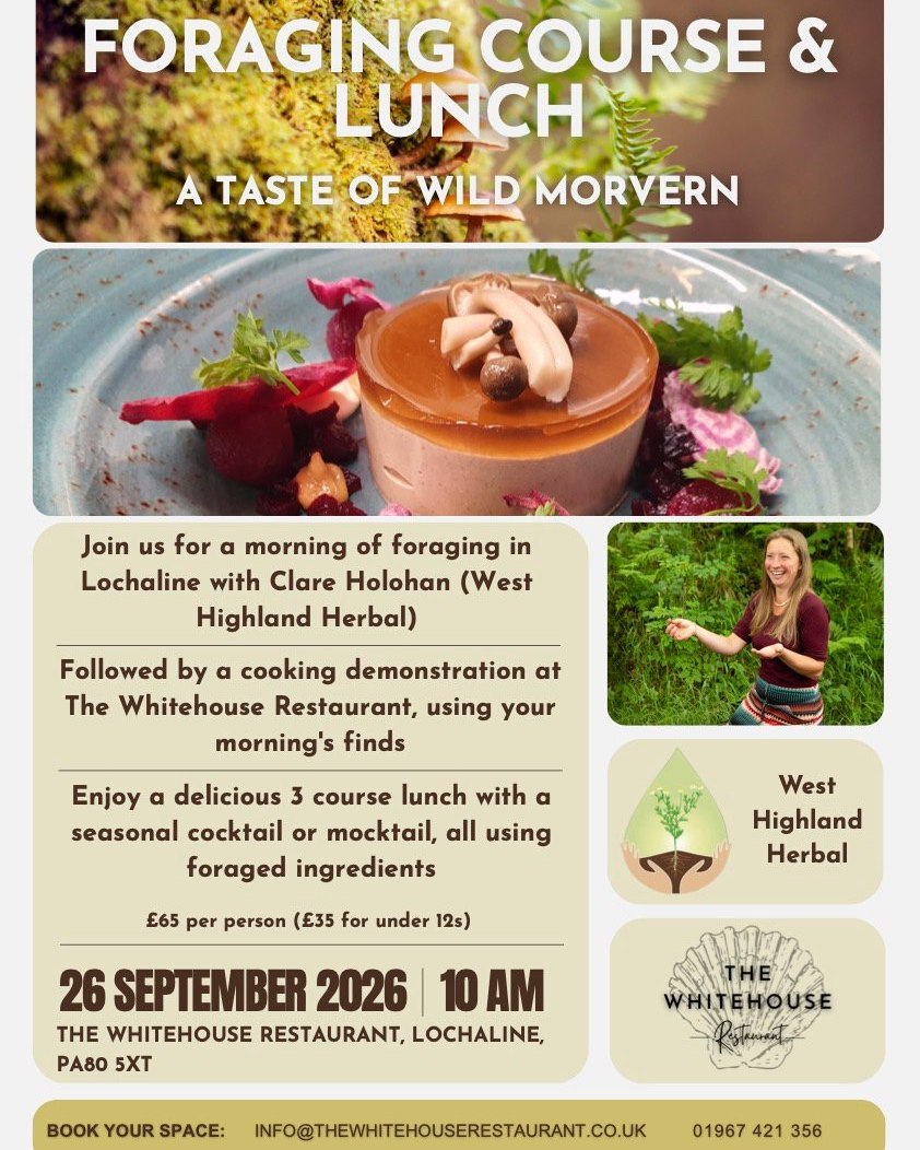 🌿A taste of Wild Morvern 🍄
Just a few spaces left on Saturday's forage, cookery demo and feast with @thewhitehouserestaurant . As one of my favourite and most delicious collabs I'm super looking forward to seeing you there!
.
.
.
.
#wildfood #foraging #WildFeast #wildfeast #scottishhighlands #forager
