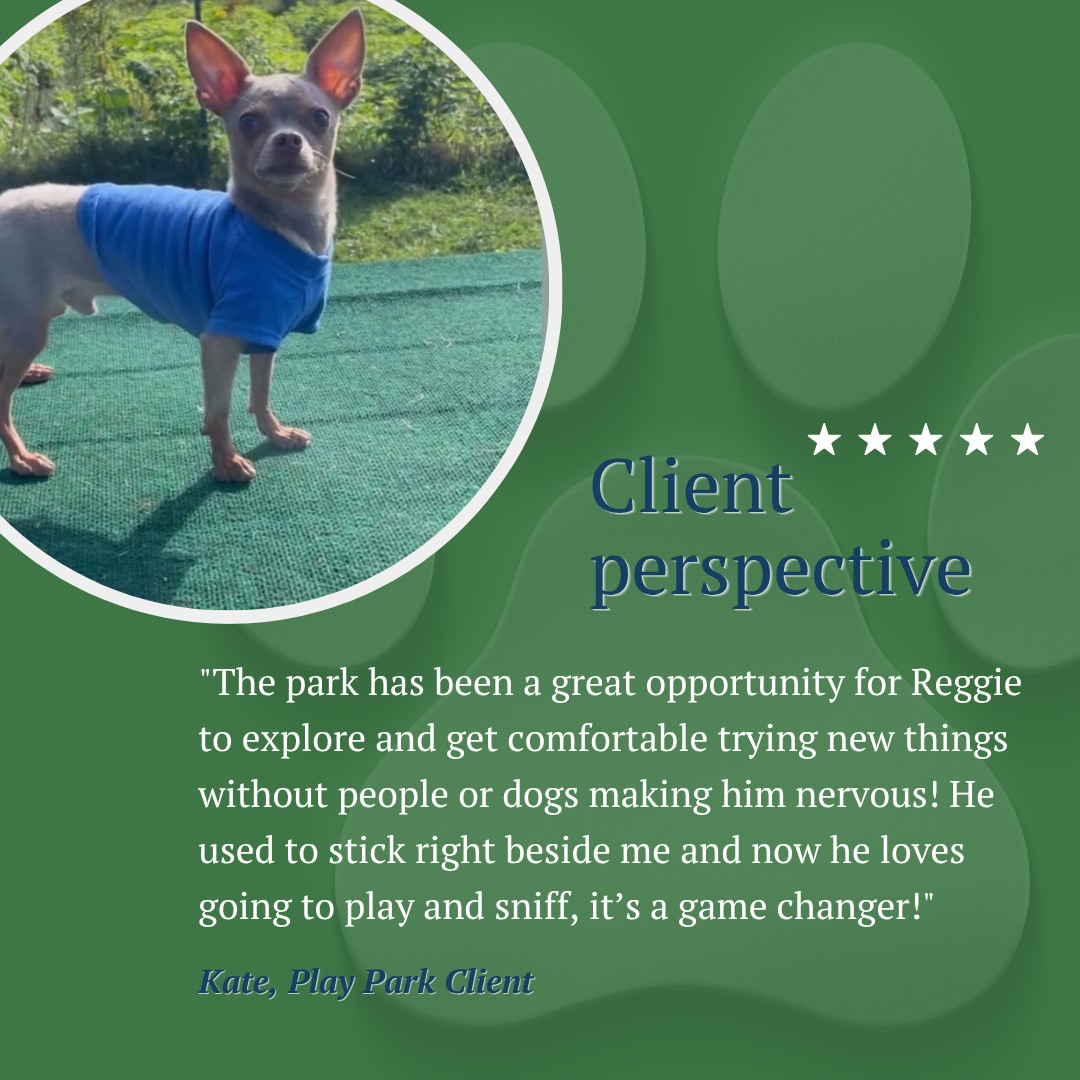 🐾 A little more confidence, one visit at a time.
“Reggie used to stick right beside me. Now he loves going to play and sniff—it’s a game changer!”
We love hearing how the park gives dogs like Reggie the space to explore, build confidence, and get comfortable at their own pace. ❤️
Sometimes, progress looks like simply feeling safe enough to wander a little farther.
Thank you for sharing Reggie’s story with us! 🐶🌿
#CountryCaninesPlayPark #HappyTails #DogEnrichment #DogConfidence #DogPark #DogLife