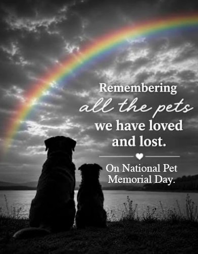 Lost but never forgotten. #nationalpetmemorialday