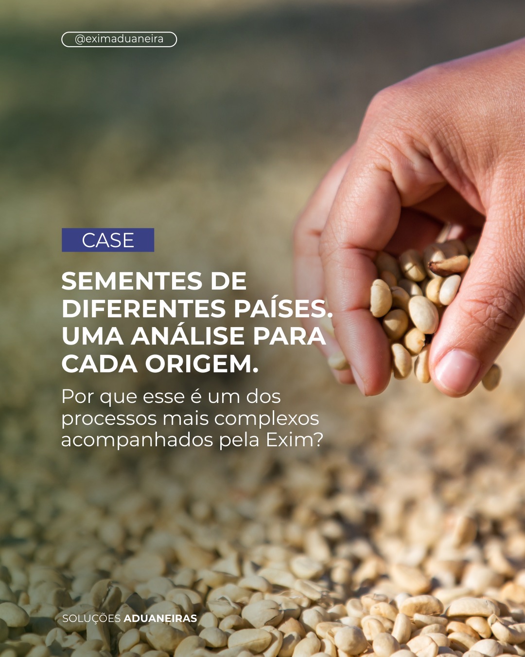 Uma das operações mais complexas acompanhadas pela Exim envolveu a importação de sementes provenientes de diferentes países. Não bastava repetir o mesmo procedimento para todas as cargas.
Cada combinação entre espécie, cultivar, origem, procedência e finalidade exigia uma análise própria. A equipe precisava verificar os requisitos aplicáveis, conferir certificados e documentos e acompanhar as etapas de autorização, fiscalização e desembaraço junto ao MAPA.
Foi um trabalho técnico e minucioso, conduzido com acompanhamento próximo em todas as etapas. Sua empresa importa produtos sujeitos a controle fitossanitário?
📲 Converse com a equipe da Exim Aduaneira: (51) 99928-4775.