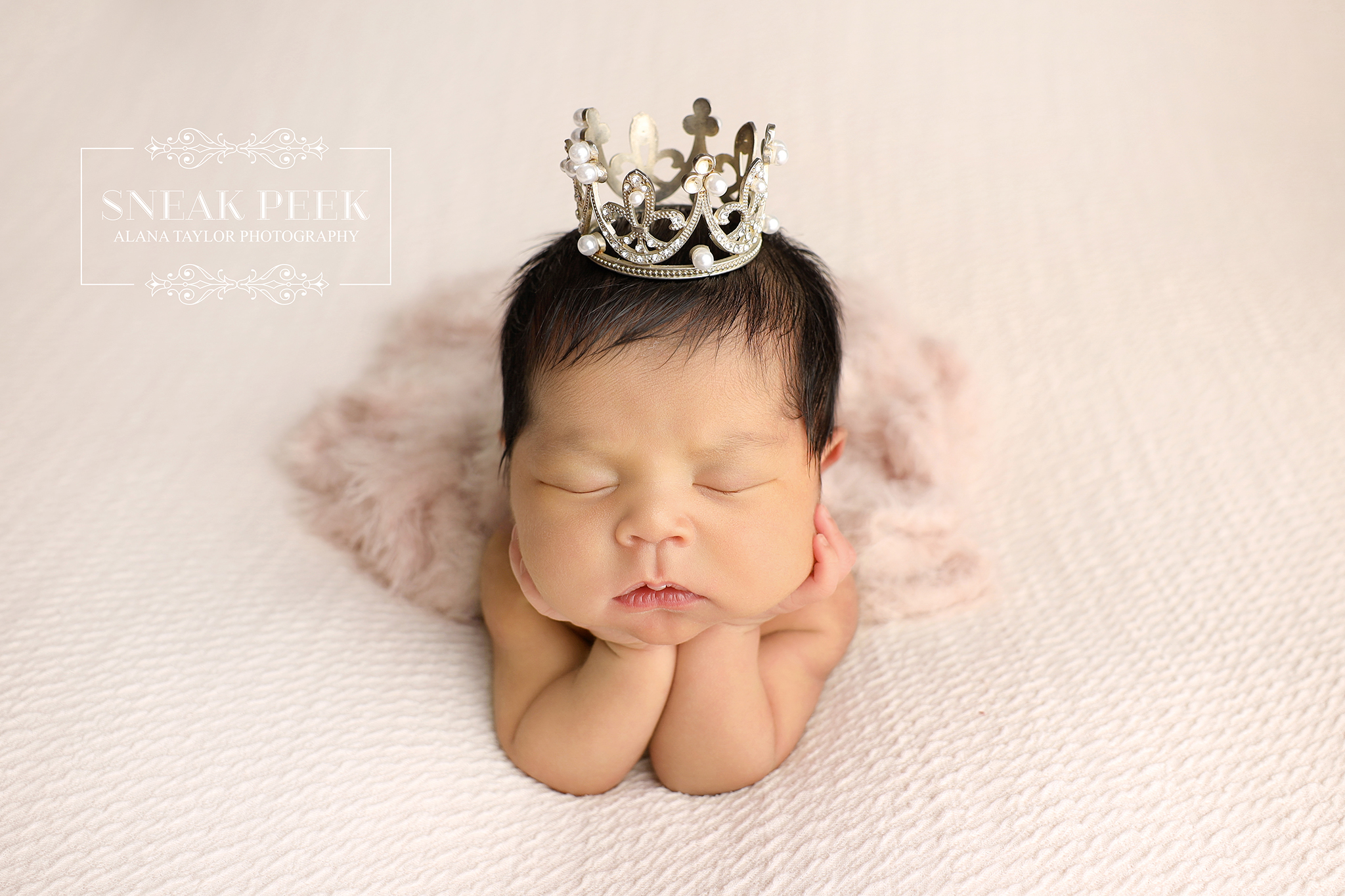 Vienna had the crown before she had teeth, so really, this Princess Cake Smash was just the natural progression. 👑😂🎂
I first photographed this gorgeous girl when she was only days old, complete with her tiny princess crown. Mum and Dad clearly picked the theme early, because one year later Vienna was back and somehow even more gorgeous. 🥹💕👑
From newborn princess to first birthday cake smasher, getting to photograph both chapters is pretty bloody special. 📸👑 And yes, Mum and Dad absolutely called the princess thing early.
For her Princess Theme Cake Smash, we went full royal treatment with a dreamy castle, layers of pink florals, butterflies, gold details and that spectacular princess dress. 🌸🏰🦋✨ Then the cake arrived and royal etiquette became considerably less important.
Vienna grabbed the spoon, sampled the icing, pulled the cake apart and finished surrounded by crumbs while flashing that enormous smile. 🎂😂💕 Apparently castles, crowns and cake destruction can coexist beautifully.
#PrincessCakeSmash #CakeSmashPhotography #BabyPhotographyMelbourne #FirstBirthdayPhotography #MelbourneCakeSmashPhotographer #ClydePhotographer #BerwickPhotographer #CranbournePhotographer #PakenhamPhotographer
Melbourne’s Leading Newborn, Baby and Cake Smash Photographer – Book Early!
www.alanataylorphotography.com.au
- Newborn Photography Melbourne
- Smash Cake Photography Melbourne
- Newborn Photographer Melbourne
- First Birthday Cake Smash Photos Melbourne
- Cake Smash Photography Near Me
- Cake Smash Photos Melbourne
- Newborn Photography Near Me
- Newborn Baby Photographer Melbourne
- Cake Smash Photographer Melbourne
- Affordable Newborn Photography Melbourne
#cakesmashphotographymelbourne #cakesmashphotographermelbourne #babyphotographermelbourne #firstbirthdayphotos #smashcakemelbourne #cakesmashfun #firstbirthdaycakesmash #firstbirthdaysmashcake #smashcakephotographermelbourne #cakesmashphotosmelbourne #babyphotographyideas #cakesmashideas #cakesmashsession #firstbirthdaysmashcake #babysmashcakephotos #babyphotographyprops #melbournemums #melbournebabyphotographer #cakesmashinspo