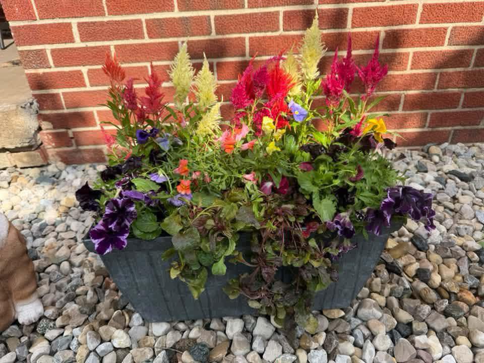 It’s a hit! Make your plans now: make and take planter is the event of the month! Call your friends and make sure you know your favorite fall colors!