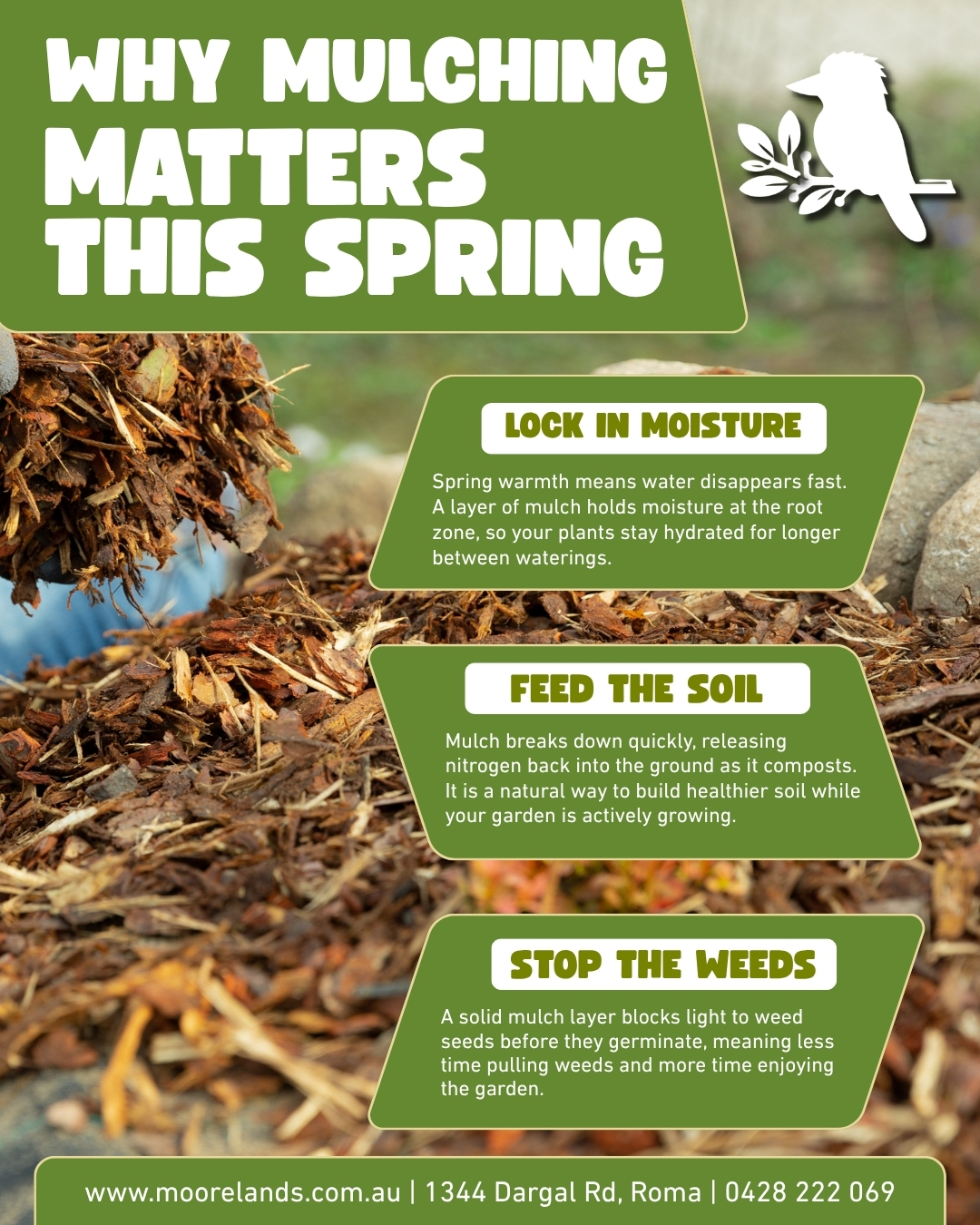 🌿 Spring warmth means the ground dries out fast, and a good layer of mulch makes all the difference. Mulch holds moisture at the root zone, feeds the soil as it breaks down, and keeps weeds from getting a foothold before your garden gets going.
Not sure what mulch suits your garden or project? Ask the team, we know the range inside out and can point you in the right direction.
Come out and see us for a chat about what your garden needs this season.