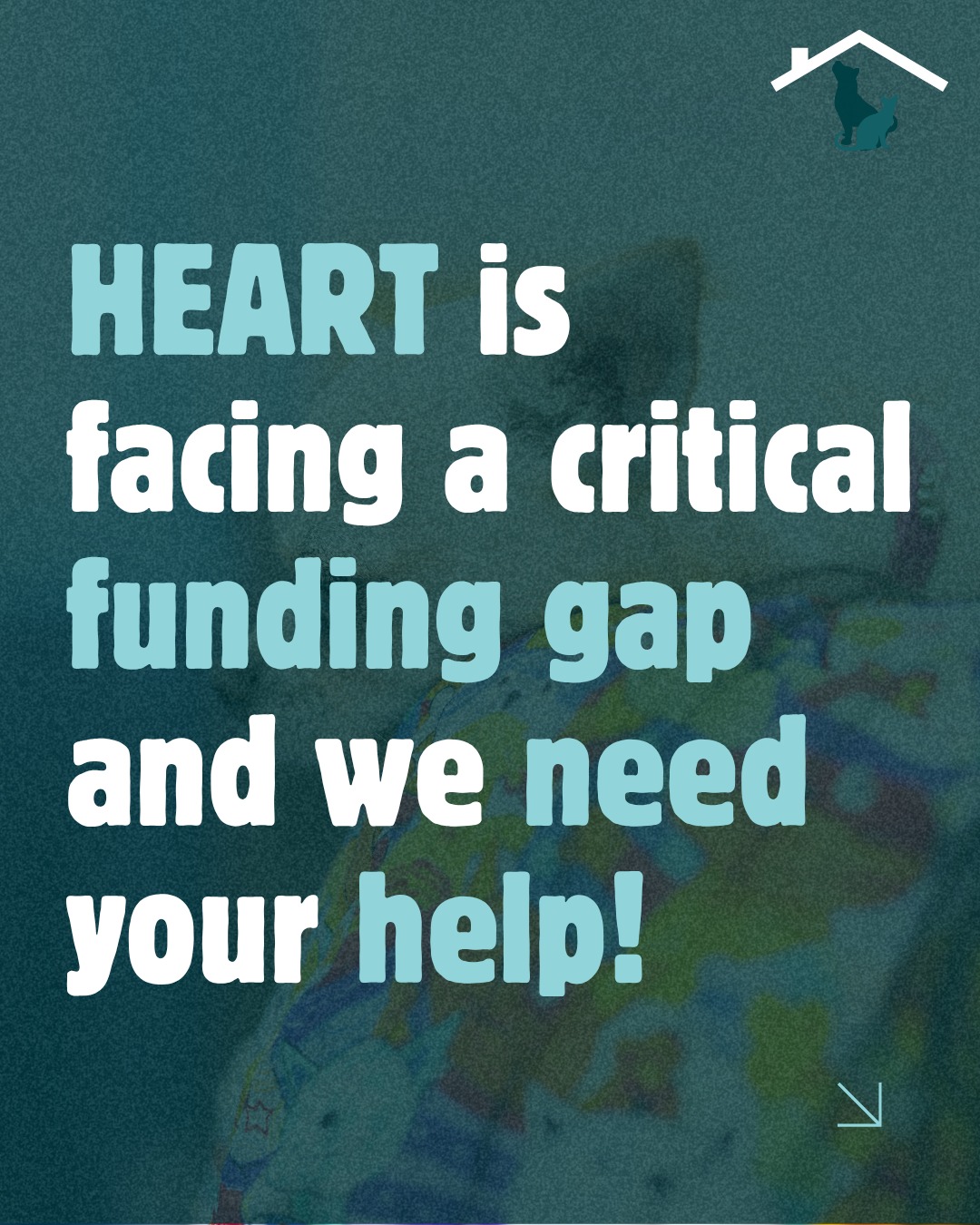 We're asking for your help.
This is not an easy post to share, but we believe in being transparent with our community.
Every day, HEART works to prevent pet-related evictions, reduce unnecessary shelter surrenders, and help people stay together with the pets they love during times of crisis. We provide free legal services and support because no one should have to choose between stable housing and their pet.
Right now, we're facing a critical funding gap.
Like many small nonprofits, we rely on grants and donations to sustain our work. While we have funding opportunities in the pipeline, the timing of those funds has left us with an immediate need to cover essential operating expenses and ensure our services remain available to the families who depend on us.
In 2025 alone, HEART served 372 families, 437 people, and 471 pets, helping keep families and their beloved companions together.
Today, we're asking our community to help us bridge this gap.
❤ If you're able, please make a donation at givebutter.com/heartla
❤ If you can't donate right now, please share this post.
❤ Every gift, no matter the size, helps us continue showing up when families and pets need us most.
Thank you for believing in a future where no one has to lose a beloved pet because of a housing crisis, financial hardship, or emergency.
#HEARTLA #KeepFamiliesAndPetsTogether #PetRetention #HousingJustice #CommunityCare #AnimalWellbeing #Donate #NonprofitSupport #LosAngeles