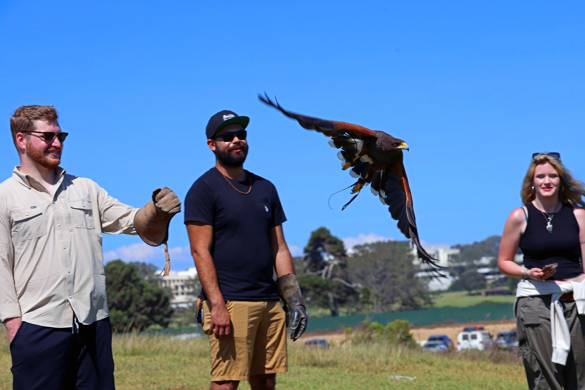 A bit of our experience, thank you so much Don Biadog!
#ecotourism #CorporateTeamBuilding #RaptorExperience #thingstodoinsandiego #familyexperience #Falconry #NaturePhotography #BirdsOfPrey #Raptors #optoutside #flytorrey #birdsofinstagram