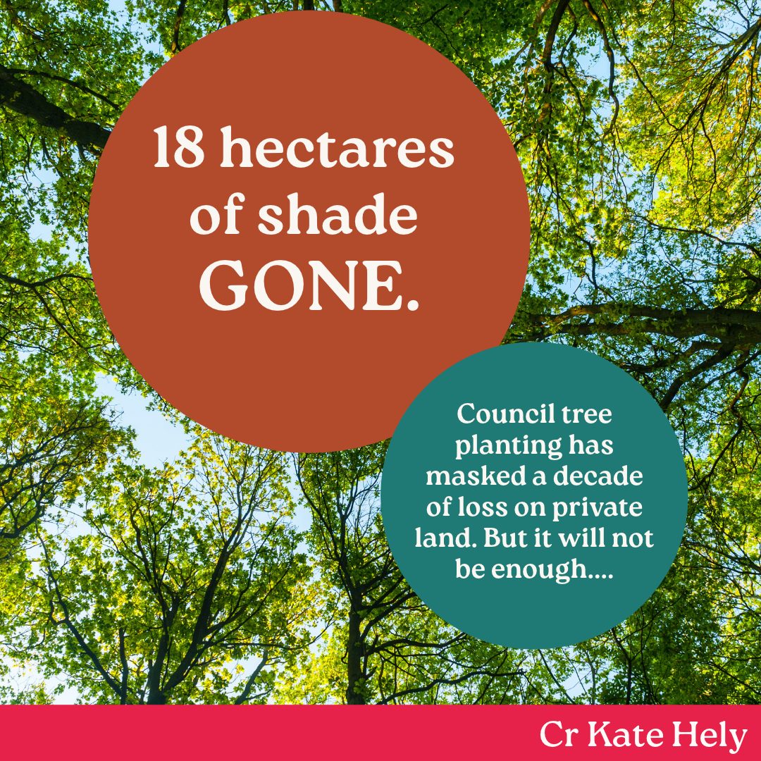 A tree does more work than we give it credit for.
It cools the ground beneath it by up to ten degrees on a hot day. It filters pollutants from stormwater, slows the runoff that floods our drains, and extends the life of the pavement it shades. Hospital patients who can see a tree from the window recover faster and need less pain relief than those facing a wall. Being among trees lowers your blood pressure....
None of that is sentimental. It is infrastructure, and the cheapest cooling this city will ever buy.
Council endorsed our Urban Greening Framework this week. It showed that more than half of Stonnington's tree canopy sits in private back gardens. Not our parks, not our streets. In a decade we lost nearly 18 hectares of it. The report includes one Malvern property that went from 55% canopy to 12% after redevelopment. That is one site, and it is happening lot by lot across the municipality.
Our planting on streets and in parks has masked that loss. Canopy grew on public land while it fell on private land, so the total looked steady. That cannot hold. Public land runs out. There are only so many trees coucnil can plant.
Overall we sit at 21.5% canopy. South Yarra is at 19%, Prahran at 18%, Windsor at just under 15%. The Chapel Street, High Street and Glenferrie Road corridors keep losing the little they have.
The State set a 30% target, then changed the planning rules so councils cannot require canopy on private land. The modelling is blunt. Even doing everything in our control, at the best planting rate, we do not reach 30%.
I support the Framework, because evidence is what advocacy runs on. But this cannot be fixed on Council land alone. It needs the State to match its ambition with the powers to deliver it. Until then the target stays on paper.
And it needs the rest of us. Most of our canopy is not Council's to protect. It sits in private gardens, which makes it a choice thousands of us make one at a time. Keep the established tree if you can. Plant a new one. Ask for deep soil when you build.
Find out more: https://www.stonnington.vic.gov.au/Planning-and-building/Strategic-planning/Stonnington%E2%80%99s-Urban-Greening-Framework