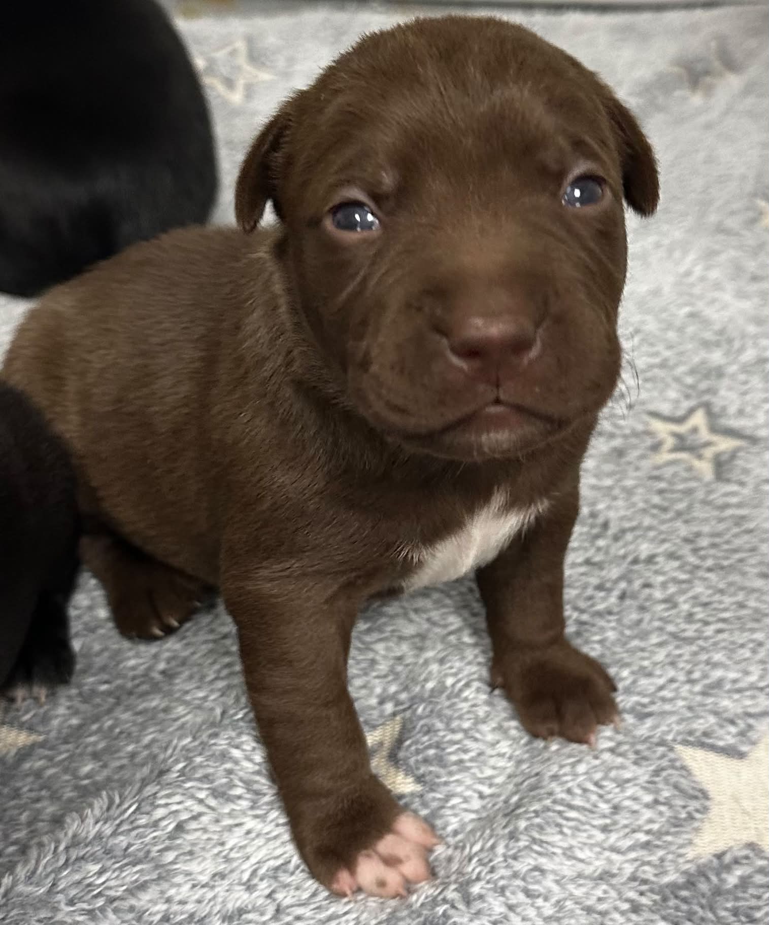 Oh my 😍 look at that face