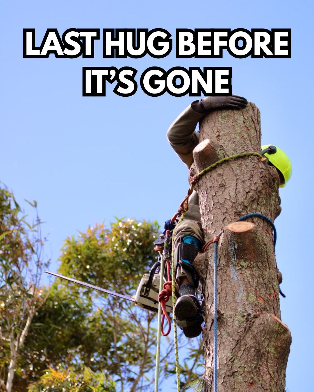 One last cuddle before we part ways. 😂🌳
We do get attached to them… just not enough to leave a problem tree standing.
When a tree has to come down, we’ll always look at the safest, most controlled way to do it - for the property, the crew and everything around it.
Still allowed to say goodbye first though.
#OverbergArborists #TreeRemoval #Arborist #TreeWork #Overberg