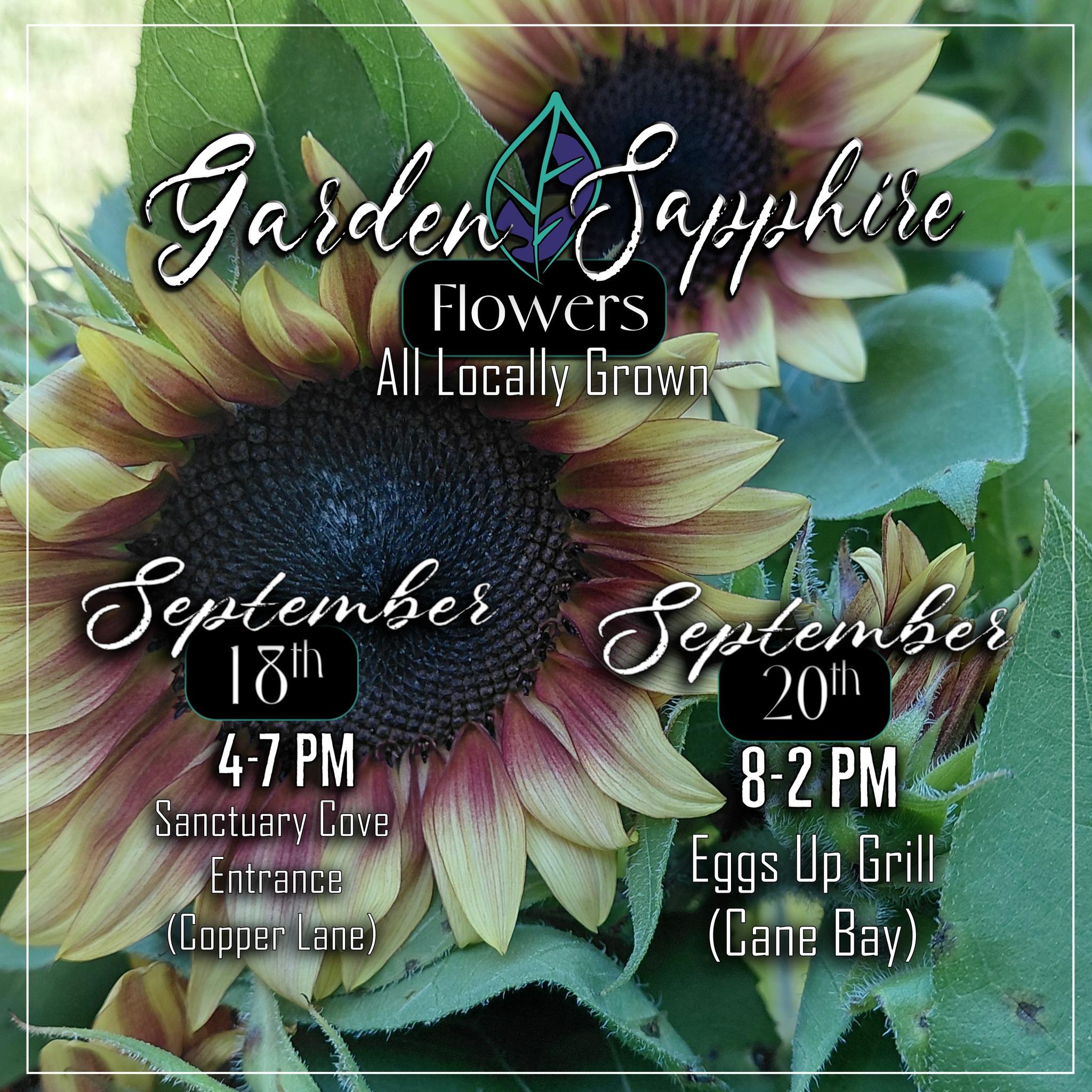 Happy Friday! Time to re-fresh those vases! Come by and see us at one of our pop-up locations this weekend.
Sanctuary Cove Entrance 4-7pm (at Copper Lane) Friday 9-18
Eggs Up Grill 8-2pm (in Cane Bay) Sunday 9-20
@followers