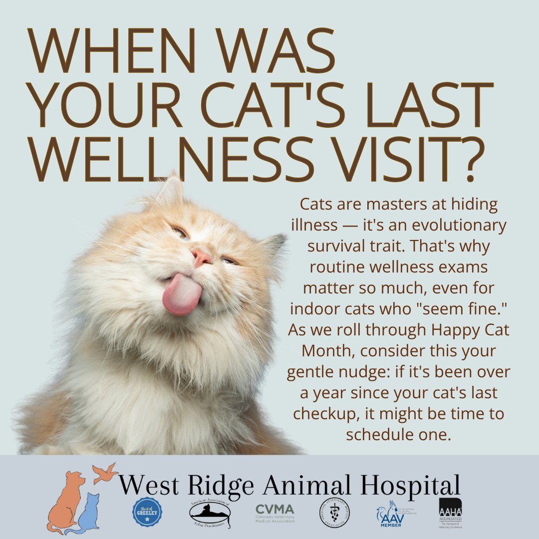 Happy Cat Month
Check-In: When Was Your Cat's Last Wellness Visit?
Cats are masters at hiding illness โ it's an evolutionary survival trait.
That's why routine wellness exams matter so much, even for indoor cats who "seem fine." As we roll through Happy Cat Month, consider this your gentle nudge: if it's been over a year since your cat's last checkup, it might be time to schedule one.
#HappyCatMonth #CatWellness #WestRidgeAnimalHospital #GreeleyVet