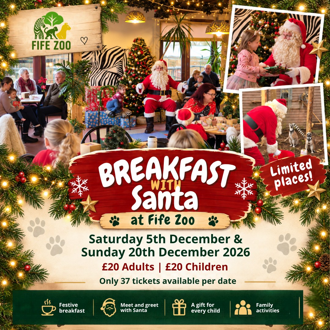 Breakfast with Santa is back at Fife Zoo 🎅🎄
Santa is heading back to Africafé for two very special festive mornings this December.
Join us on Saturday 5th December or Sunday 20th December for:
🎄 A hearty festive breakfast in Africafé
🎅 A personal meet and greet with Santa
🎁 A special gift for every child
✨ Festive family activities
🐾 And time to enjoy the zoo animals too
Tickets are £20 per person for both adults and children.
With only 37 tickets available on each date, we strongly recommend booking early.
📅 Saturday 5th December
📅 Sunday 20th December
🎟️ £20 adults | £20 children
👨👩👧 Just 37 tickets available per date
Christmas at the zoo starts here. 🎄🐾