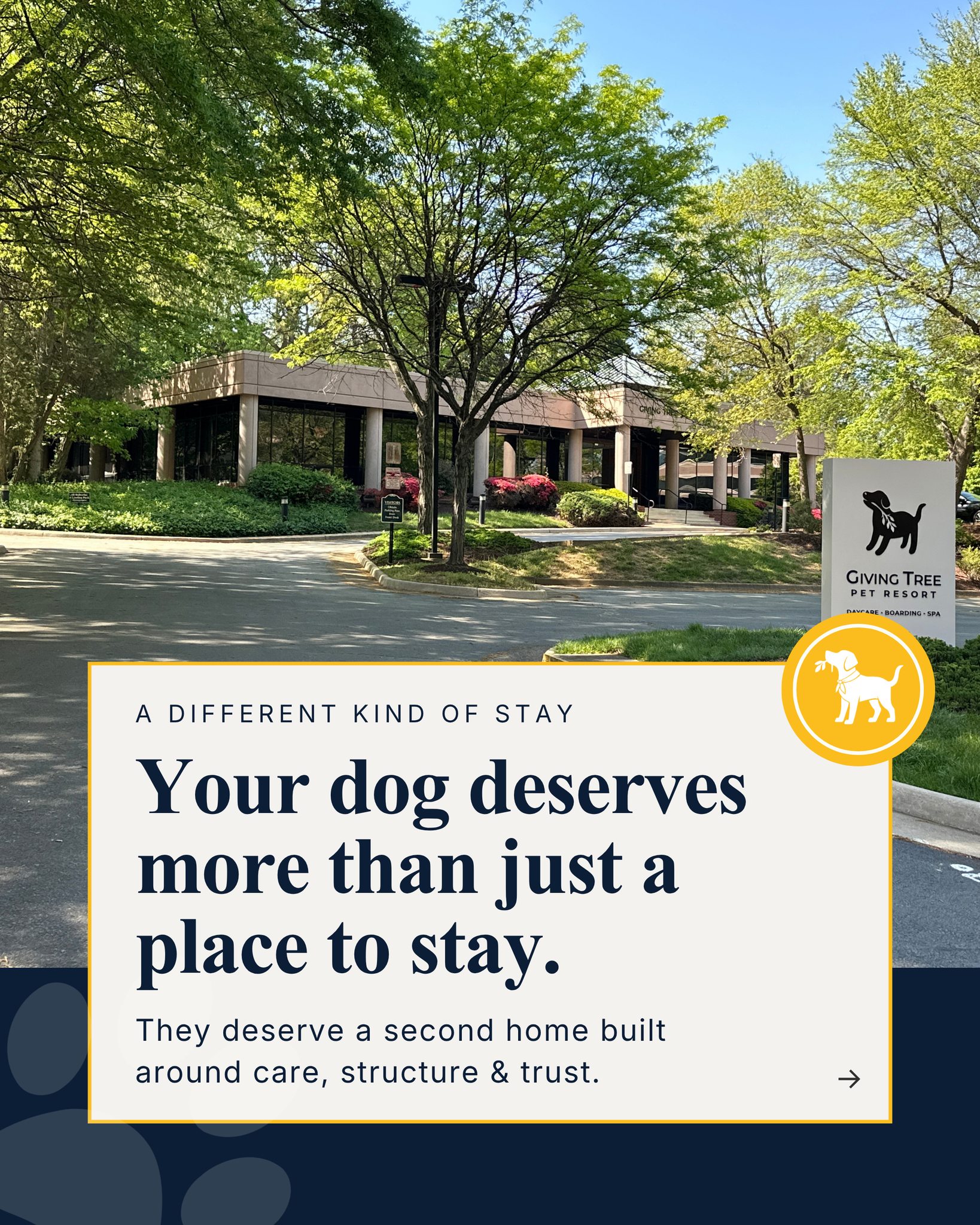 More than a place to stay.
At Giving Tree, every day is built around care, comfort, movement, and routine — from thoughtfully curated play groups and outdoor breaks to personalized grooming, quiet rest, and dedicated attention from people who truly get to know your dog.
Because great pet care should feel less like boarding, and more like a second home.
A different standard of pet care.
#GivingTreePetResort #HappyDogs #DogDaycare #DogBoarding #NorthernVirginia #PetParents #DogLovers #Branchingouthappiness