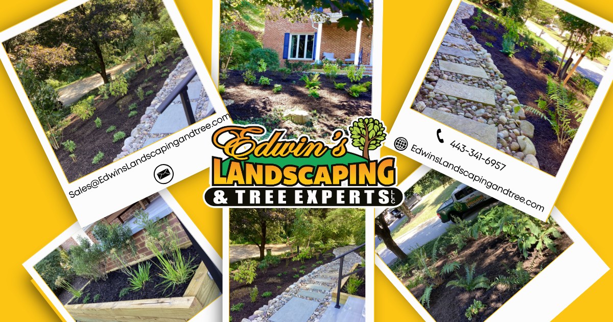 A fresh landscape transformation that brings beauty, character, and functionality together! 🌿✨ From thoughtfully placed plantings and fresh mulch to natural stone walkways and river rock accents, every detail was designed to complement the property and bring the vision to life.
At Edwin’s Landscaping & Tree Experts, we take pride in creating outdoor spaces that make your home stand out. Ready to transform your yard? Let’s bring your landscaping ideas to life!
📞 443-341-6957
📧 Sales@edwinslandscapingandtree.com
🌐 Edwinslandscapingandtree.com
#edwinslandscapingandtreeexperts #LandscapeDesign #Landscaping #OutdoorTransformation #MarylandLandscaping