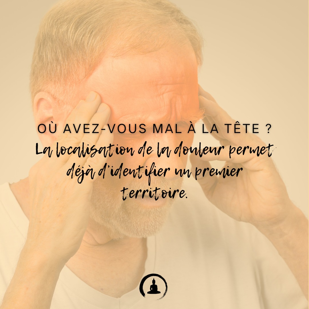Un mal de tête n’est pas uniquement défini par son intensité. Sa localisation fournit déjà une première orientation.
Une douleur frontale, temporale, occipitale ou située au sommet du crâne ne suit pas nécessairement le même trajet.
Dans ma pratique, je commence donc par demander :
• Où la douleur commence-t-elle ?
• Où se propage-t-elle ?
• Est-elle superficielle ou profonde ?
• Quel mouvement ou quelle situation la déclenche ?
• Est-elle fixe, pulsatile, lourde ou changeante ?
La localisation permet d’identifier le territoire et la couche concernés. J’étudie ensuite la dynamique, le climat, les substances et la racine du trouble.
Localisation → Couche → Dynamique → Climat → Racine
Une douleur brutale et extrêmement intense, inhabituelle, accompagnée de troubles neurologiques, de fièvre, de confusion ou survenant après un traumatisme nécessite une évaluation médicale rapide.
#Acupuncture #MauxDeTête #Migraine #MédecineChinoise #Fascias #YangMing #ShaoYang #TaiYang #JueYin