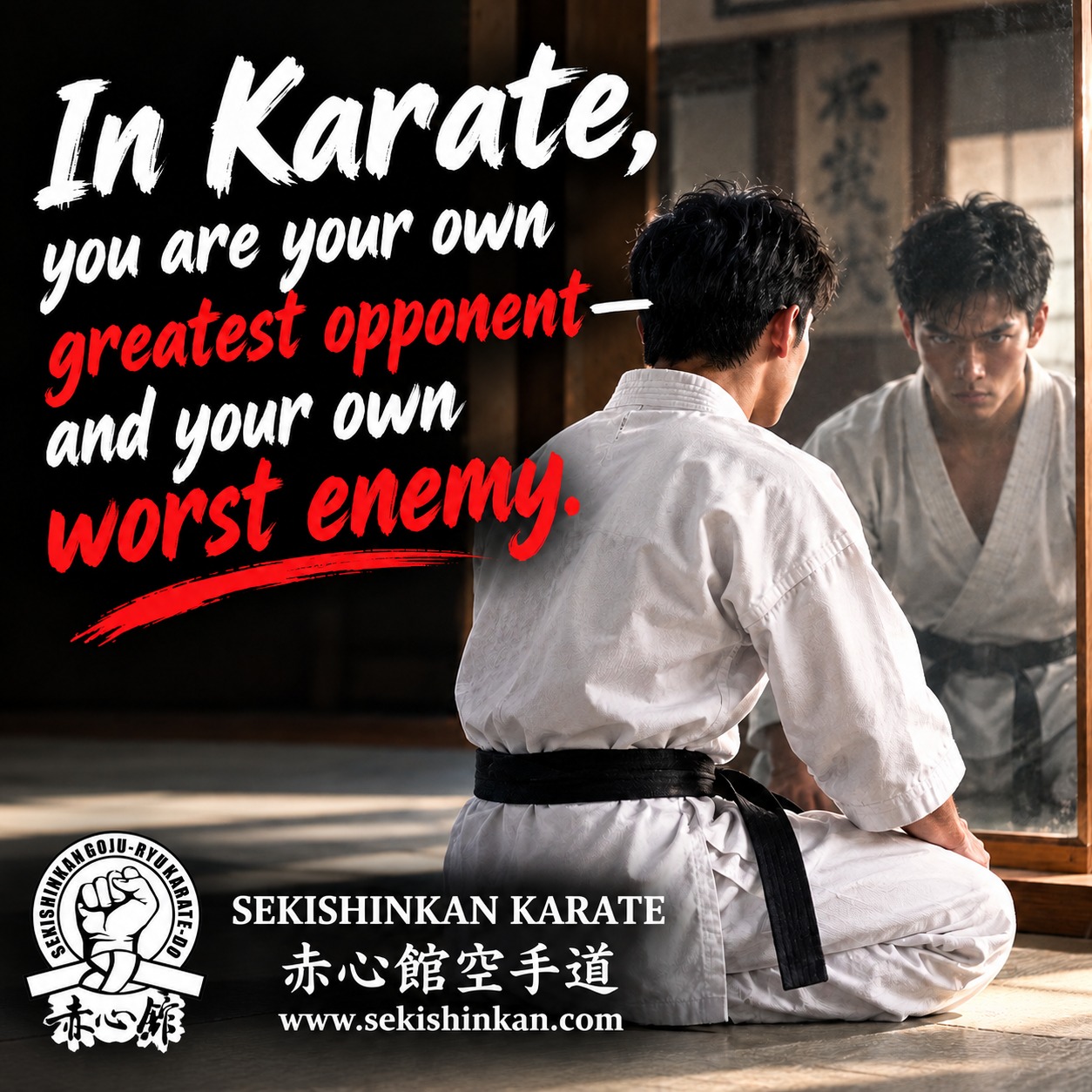 Agree? Not Agree? Please share your thoughts with us.
-----------------------
WSK Sekishinkan Goju-Ryu Karatedo
赤心館 剛柔流 空手道
🔔 SUBSCRIBE - so you don’t miss NEW videos ⇩
https://youtube.com/c/sekishinkan
😊 FOLLOW - so you know what's happening around us!
URL: www.sekishinkan.com
FB: www.facebook.com/sekishinkankarate
IG: instagram.com/sekishinkankarate
Twitter: Twitter.com/Sekishinkan