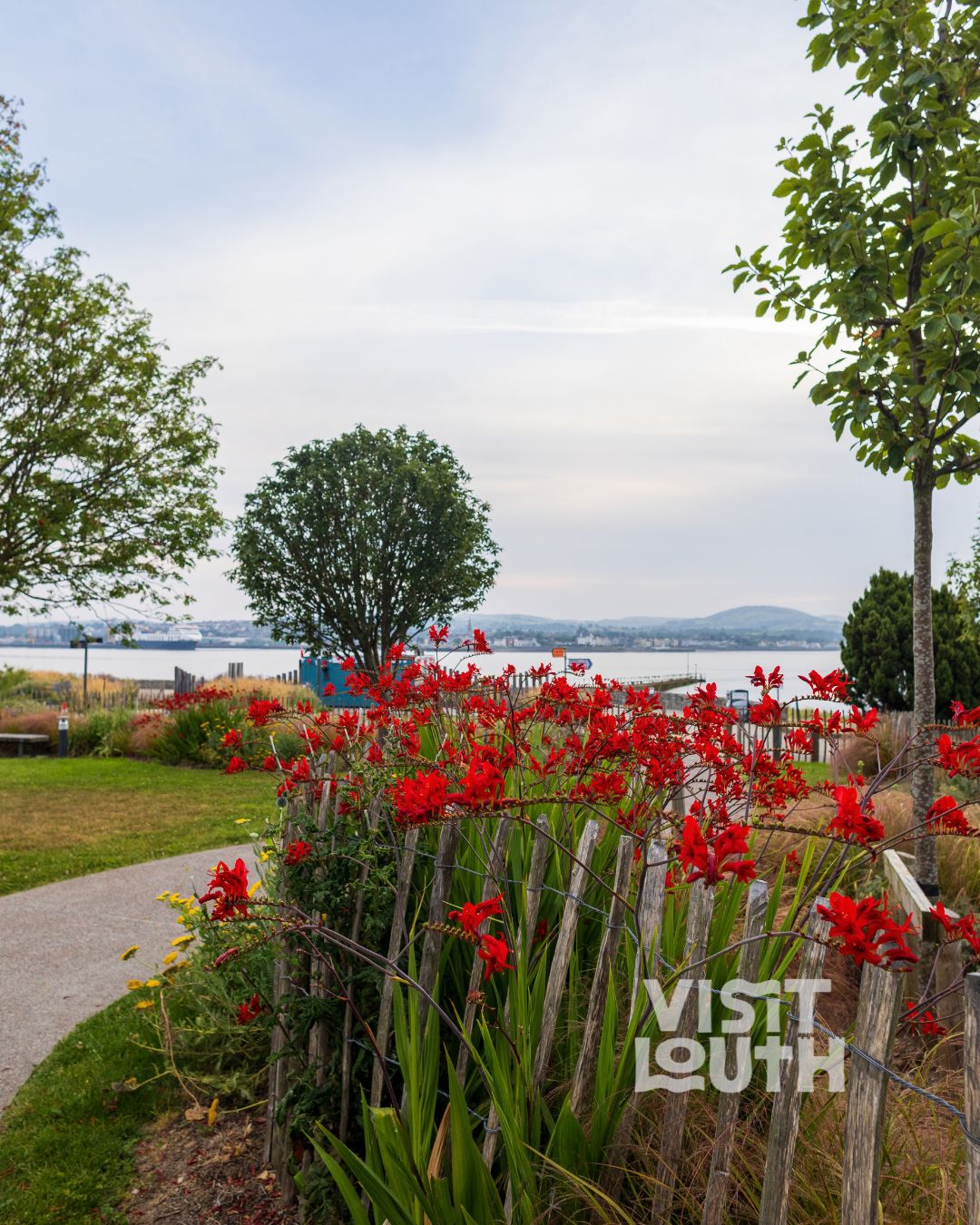 Nestled on the shores of Carlingford Lough, is the picturesque village of Omeath.
Enjoy stunning mountain views a rich heritage and a peaceful charm. We highly recommend a walk along the Greenway and find solace in the cosy @antaincafebar - a perfect Autumn day out.
Explore more at link in bio
#VisitLouth #Omeath #Greenway