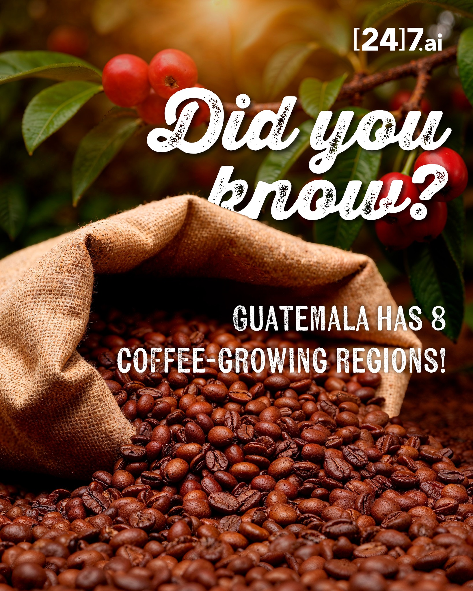 🌎 Happy International Coffee Day!☕
Guatemala is home to some of the world’s most recognized coffees and here’s a cool fact: 🇬🇹
✨ Guatemala has eight coffee growing regions, each with its own unique flavor profile influenced by altitude, soil, and climate. 🌋🌱
From Antigua’s smooth and balanced notes to Huehuetenango’s bright acidity, every cup tells a different story. 👀☕
So today, grab your favorite cup, take that first sip, and celebrate one of the world’s favorite ways to start the day! 🚀💛
What’s your go to coffee? 👇☕
#InternationalCoffeeDay #guatemalancoffee #coffeelovers