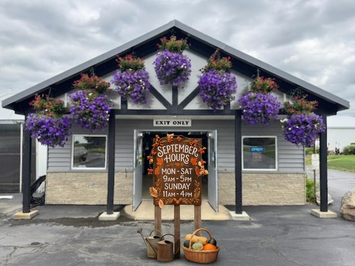 Plan your visit and bring home some fall!!