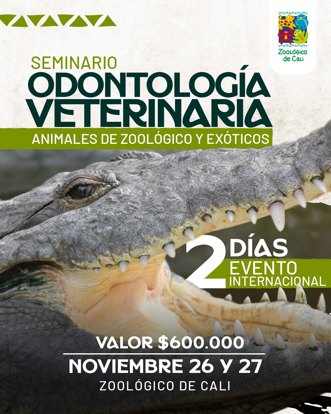 🦷🐊 La odontología también es clave para el bienestar de la fauna silvestre.
El Zoológico de Cali tendremos un espacio de 2 días de aprendizaje e intercambio de conocimiento para fortalecer las capacidades clínicas, diagnósticas y la toma de decisiones en odontología veterinaria.
📅 26 y 27 de noviembre
📍 Zoológico de Cali
💰 Valor: $600.000
Cupos limitados. Inscríbete y sé parte de este encuentro internacional.
#ZoológicoDeCali #OdontologíaVeterinaria #MedicinaVeterinaria #FaunaSilvestre #BienestarAnimal #FormaciónVeterinaria