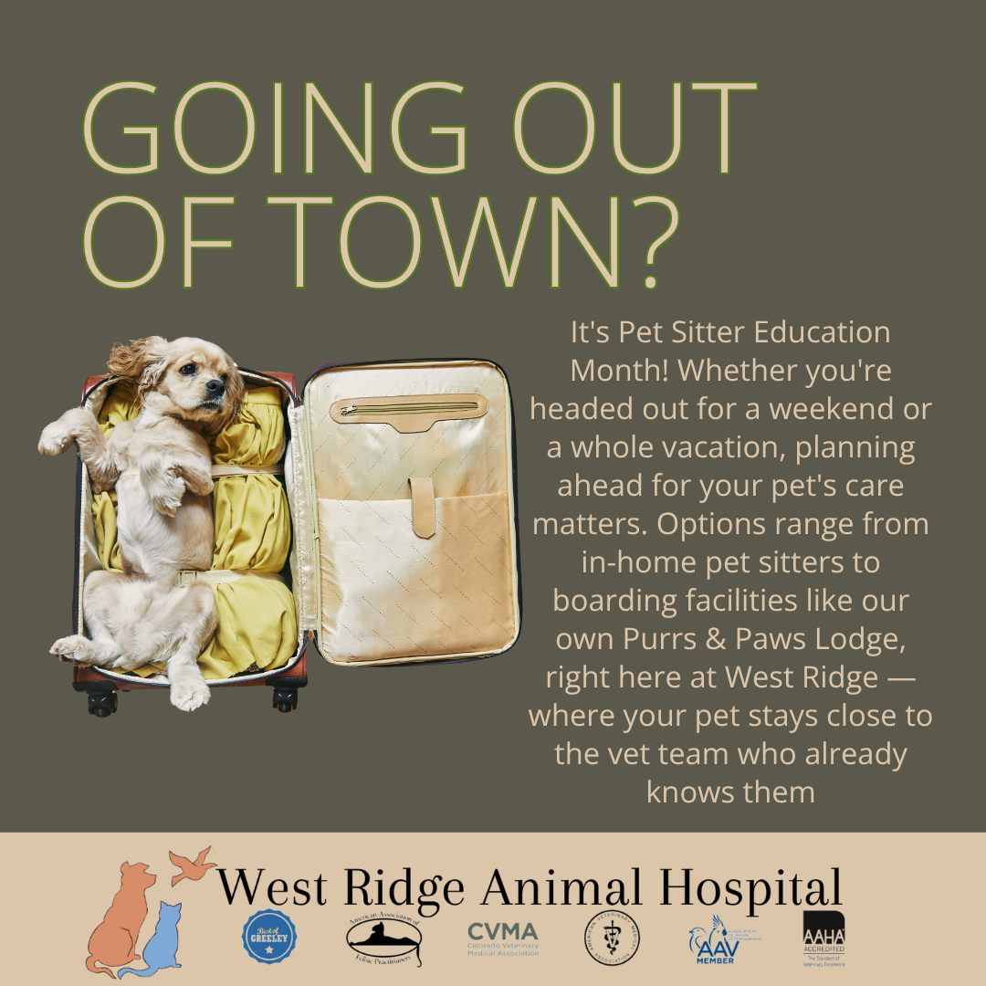 ๐งณ Going Out of Town?
Meet Your Pet Sitter Options.
It's Pet Sitter Education Month!
Whether you're headed out for a weekend or a whole vacation, planning ahead for your pet's care matters. Options range from in-home pet sitters to boarding facilities like our own @purrsandpawslodge, right here at West Ridge โ where your pet stays close to the vet team who already knows them. Curious what boarding with us looks like? Send us a message!
#PetSitterEducationMonth #PurrsAndPawsLodge #PetBoarding #WestRidgeAnimalHospital #GreeleyCO